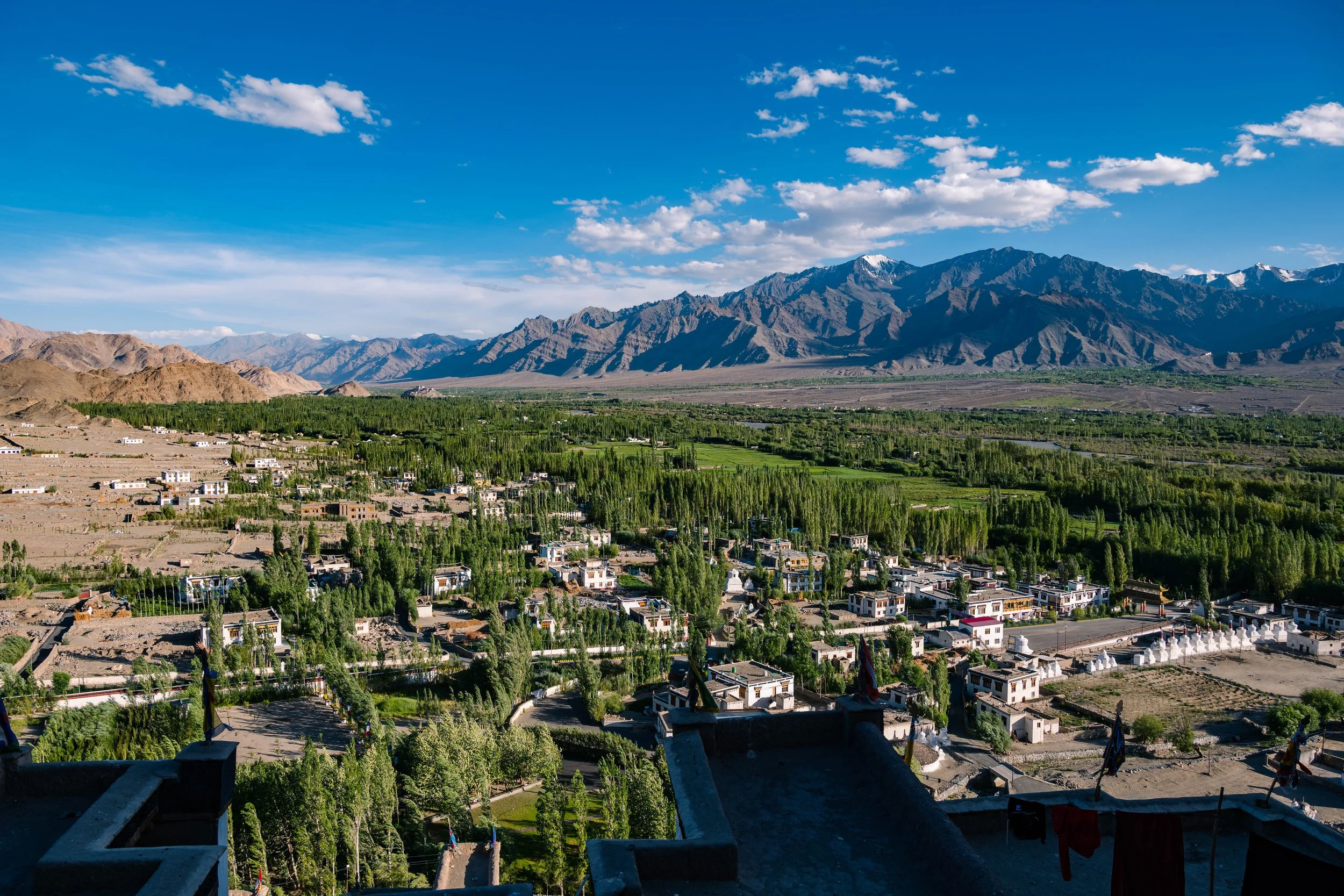 Thiksey-Homestay-Ladakh-14.jpg