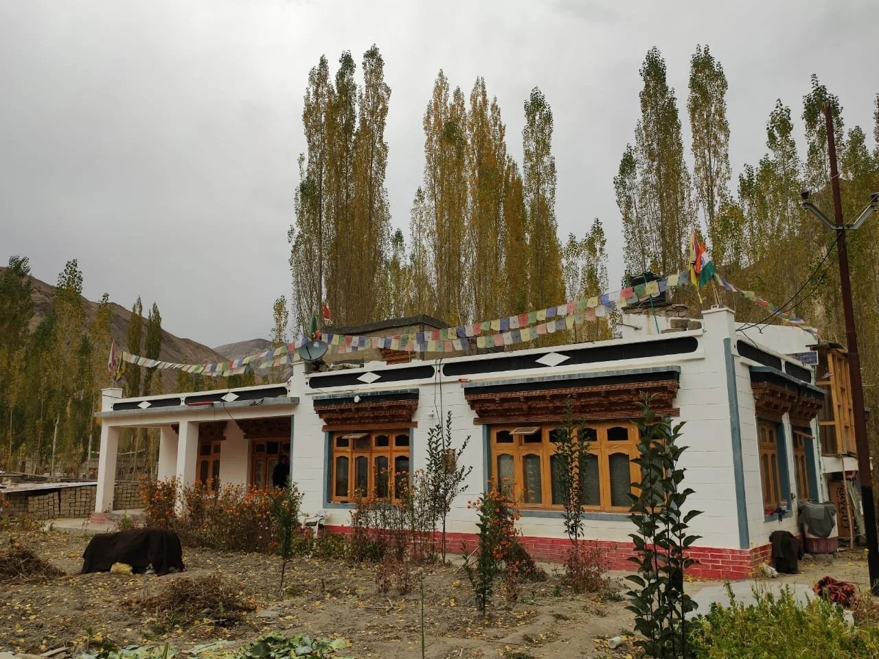 wanla-homestay-ladakh-12.jpg