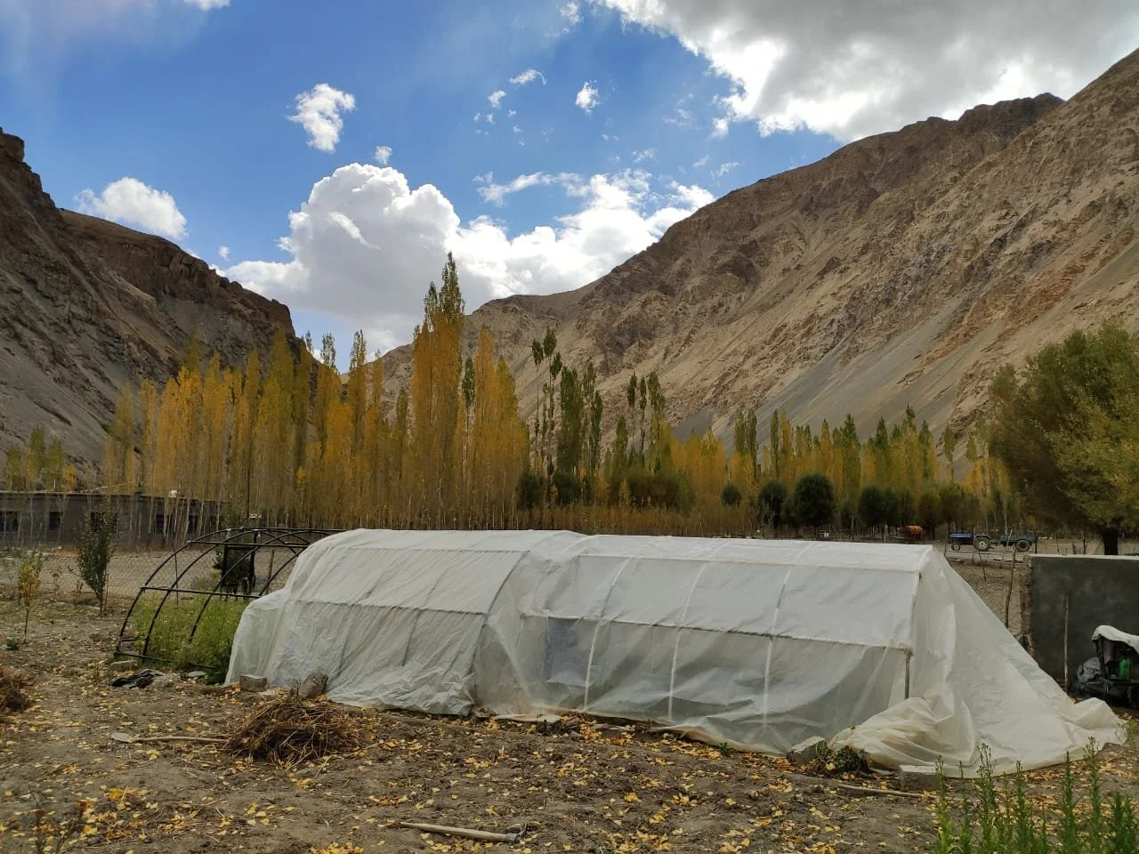 wanla-homestay-ladakh-13.jpg