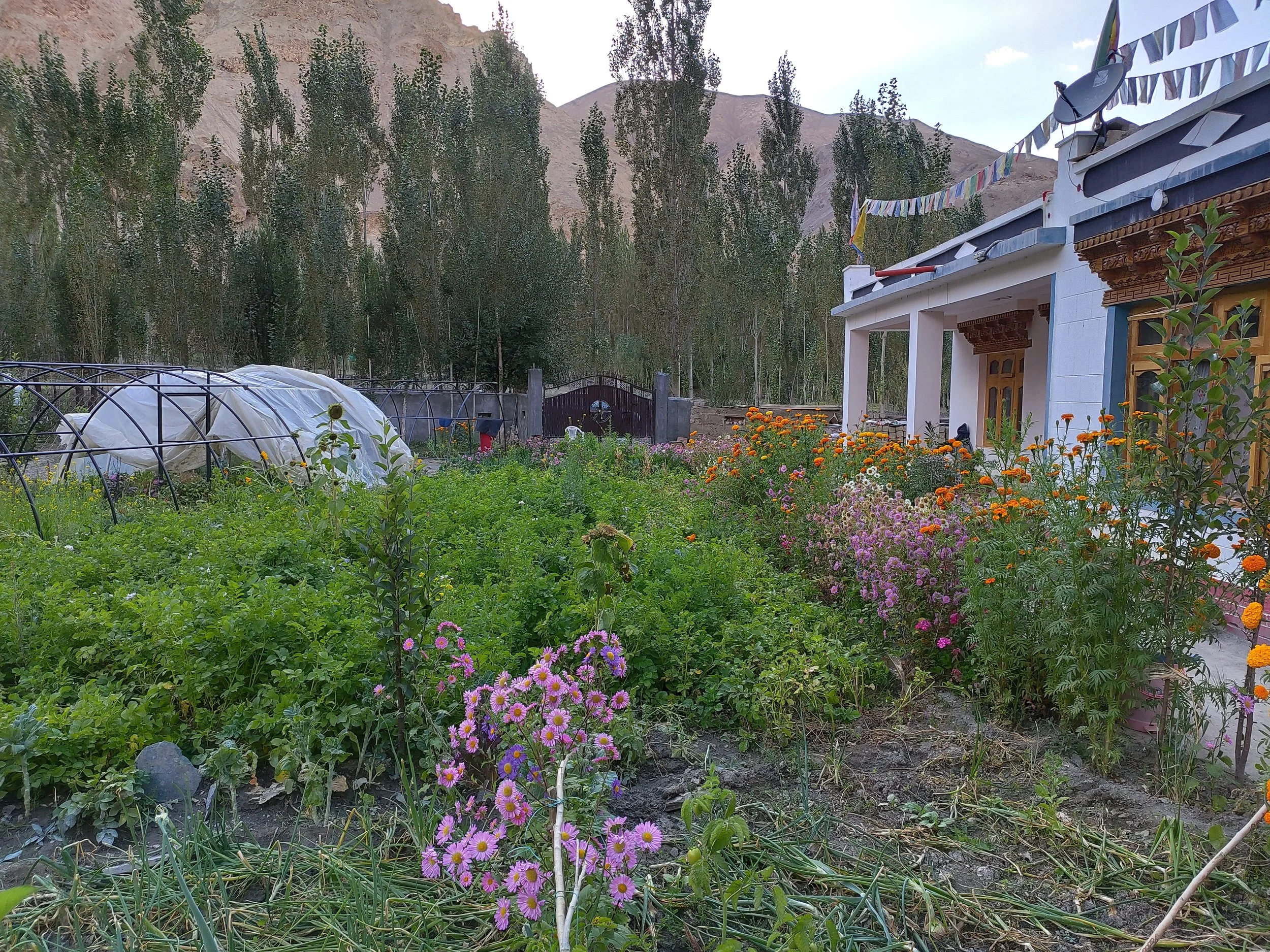 wanla-homestay-ladakh-1.jpg