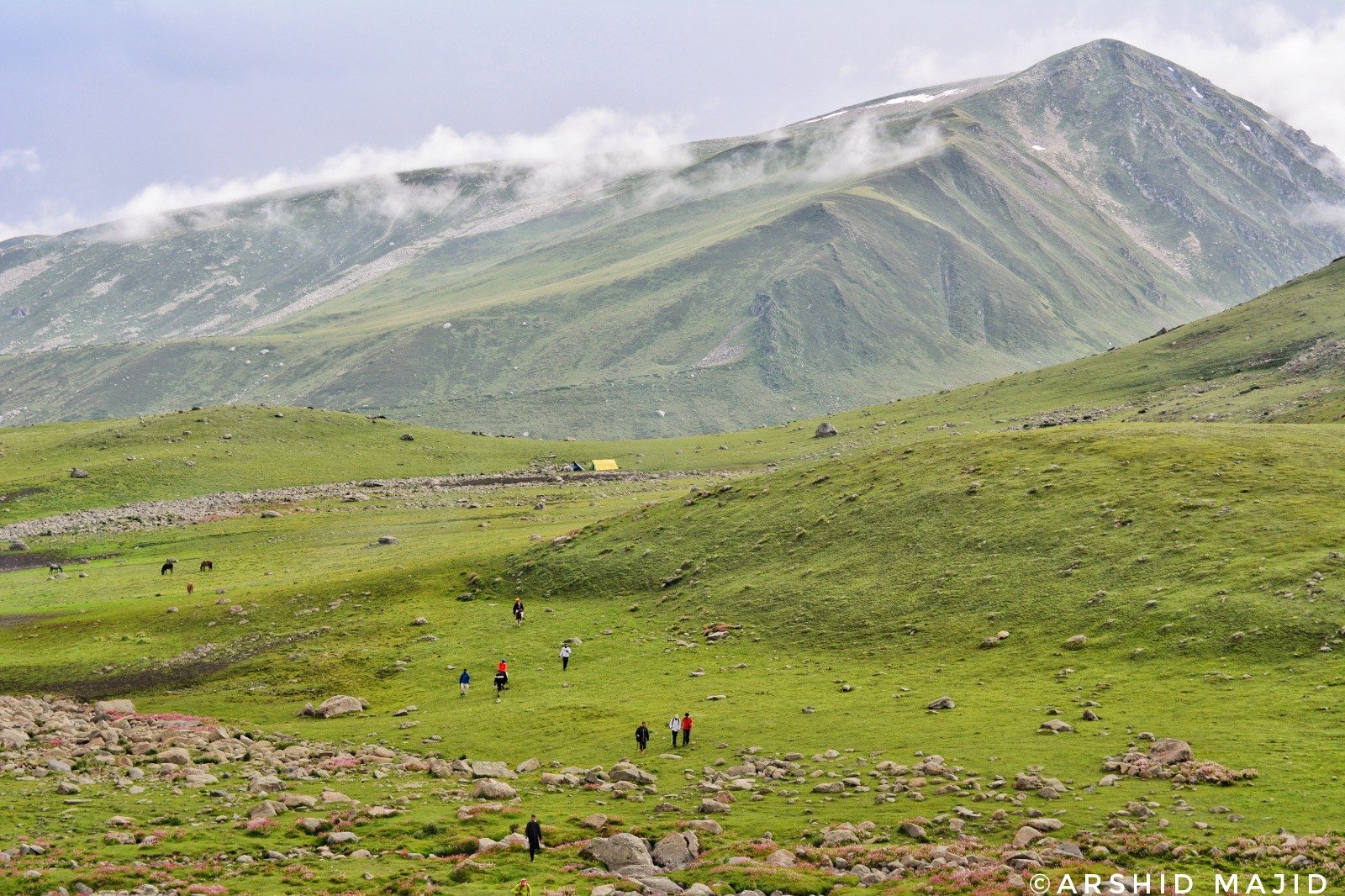 WhatsApp Image 2024-03-21 at 17.29.21_4d7b6f4f.jpg