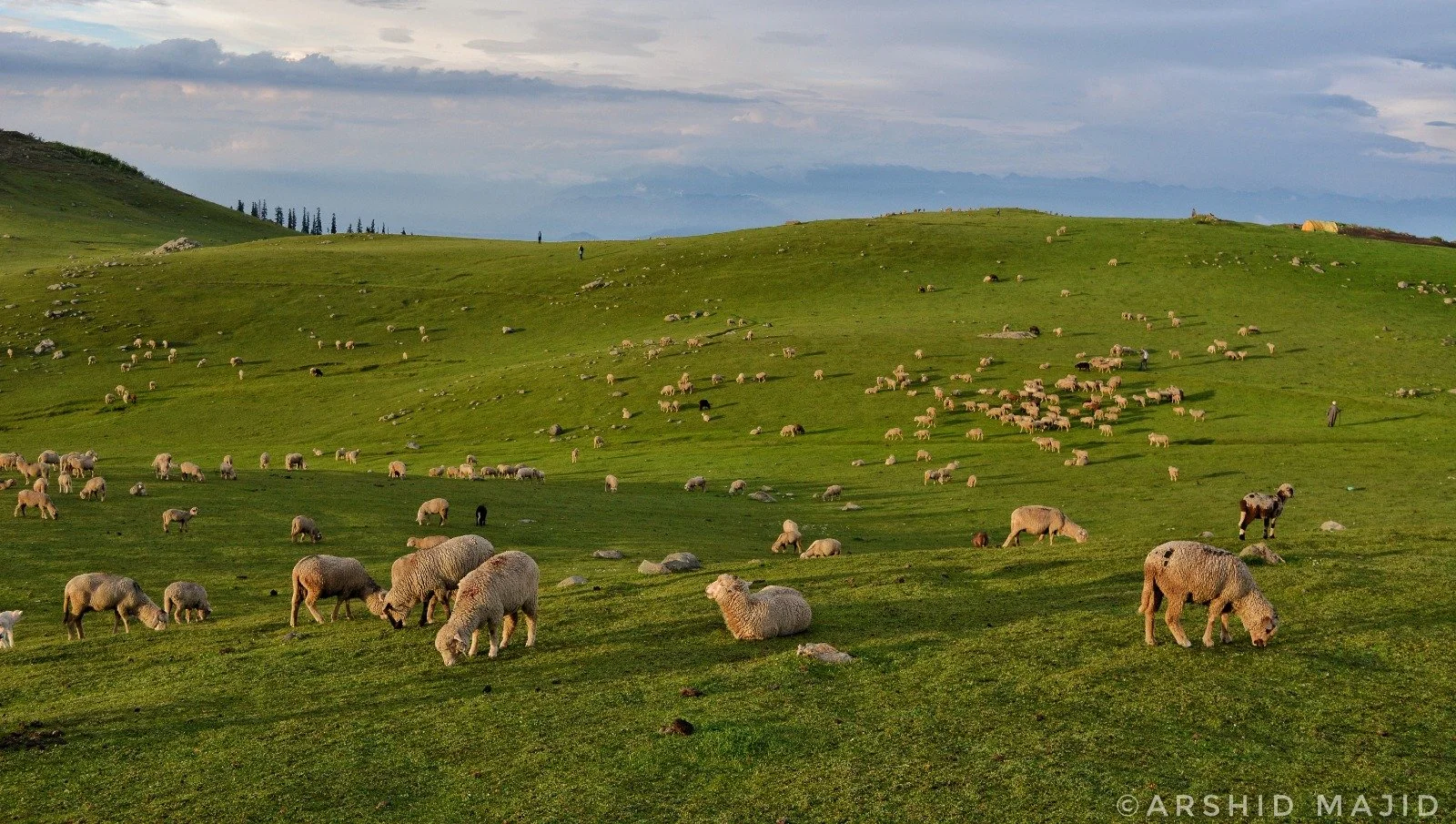 WhatsApp Image 2024-03-21 at 17.29.23_bfce2199.jpg