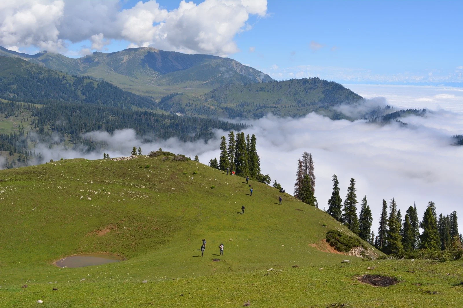 WhatsApp Image 2024-03-21 at 17.29.26_a93d8240.jpg