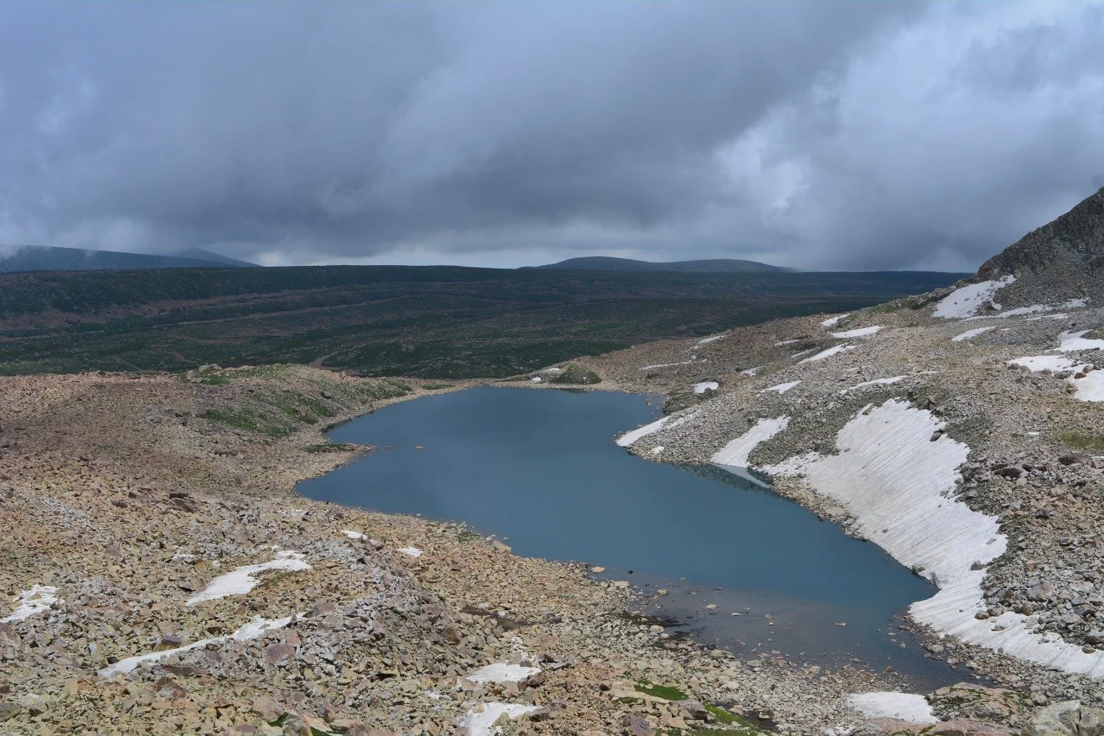 WhatsApp Image 2024-03-21 at 17.29.26_e9b82625.jpg