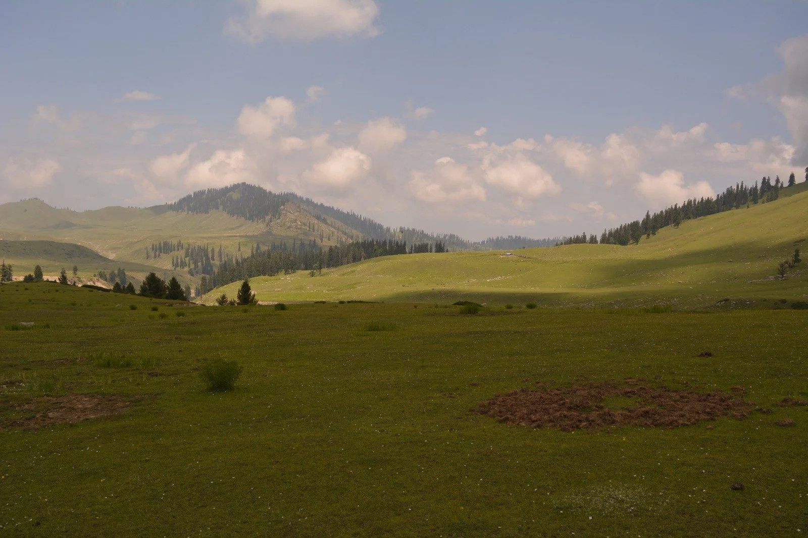 WhatsApp Image 2024-03-21 at 17.29.28_b4981ec6.jpg