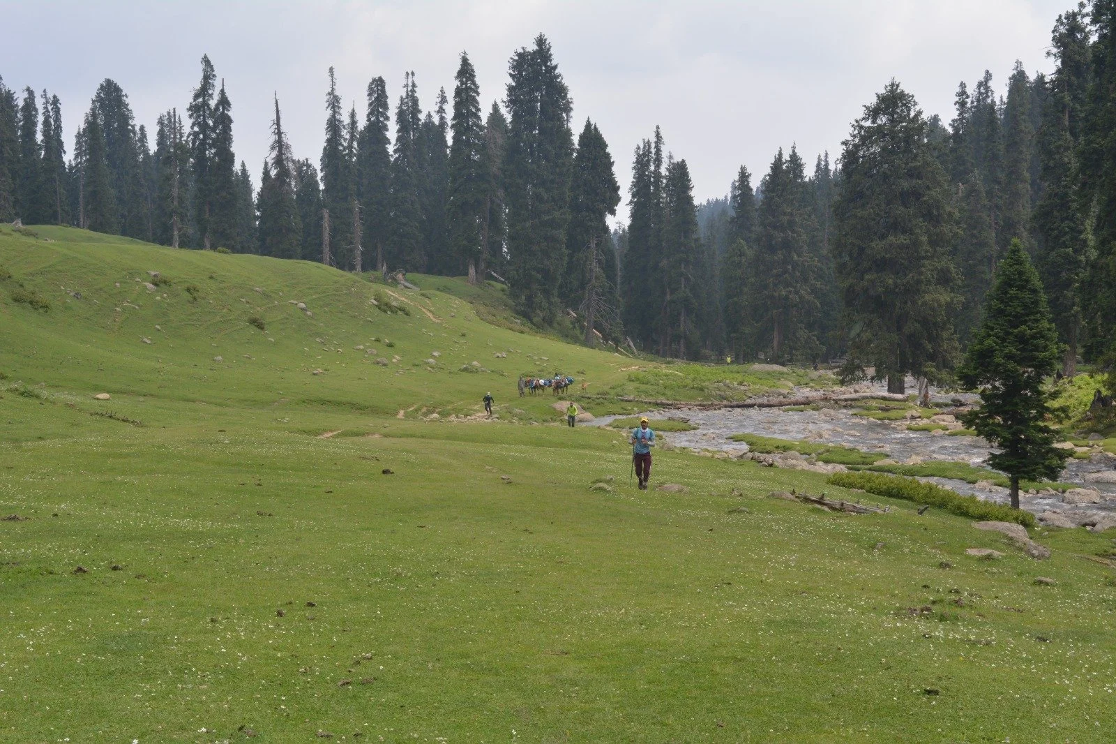 WhatsApp Image 2024-03-21 at 17.29.29_a79e4fb5.jpg