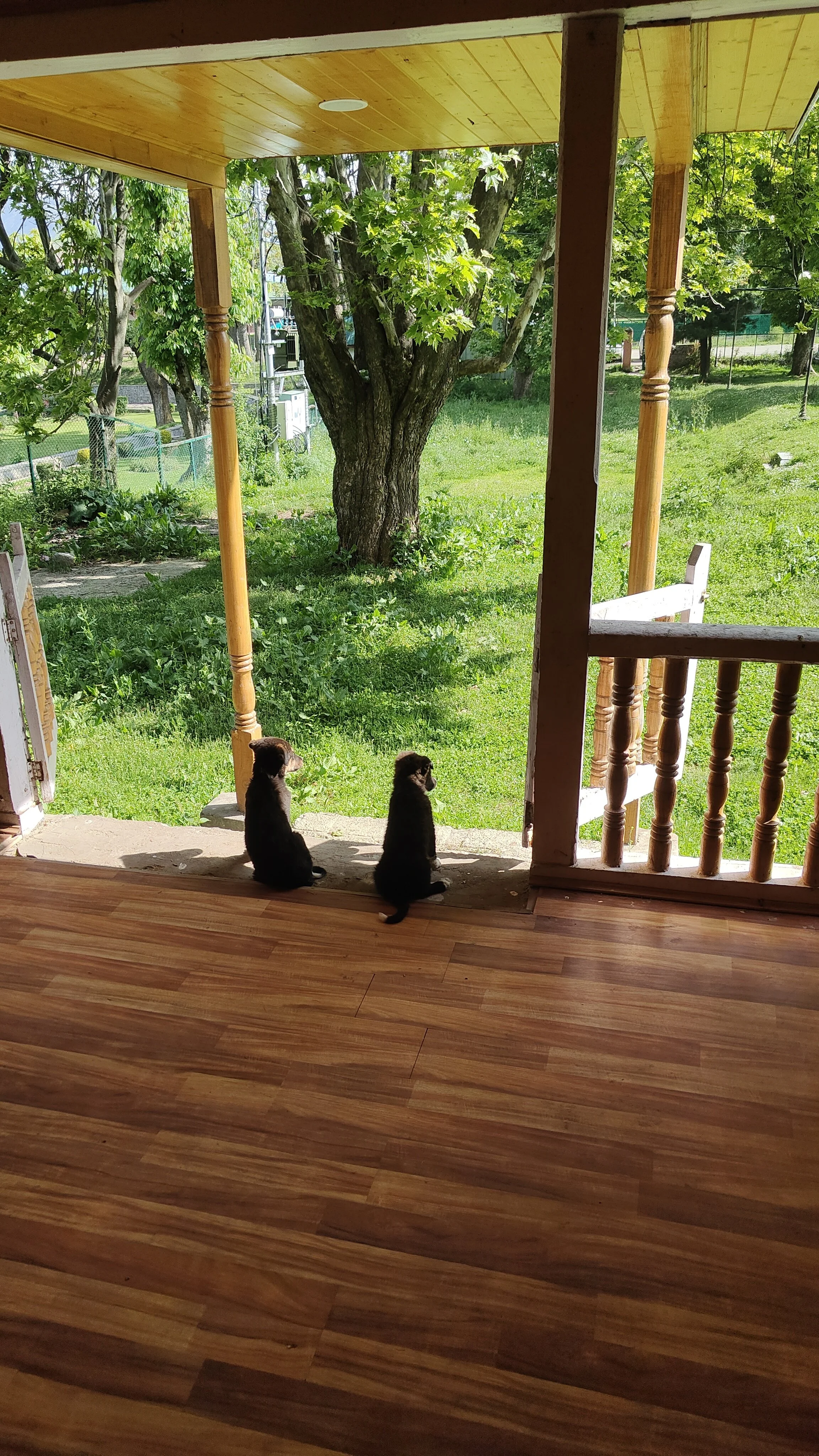 IMG20230513085316.jpg