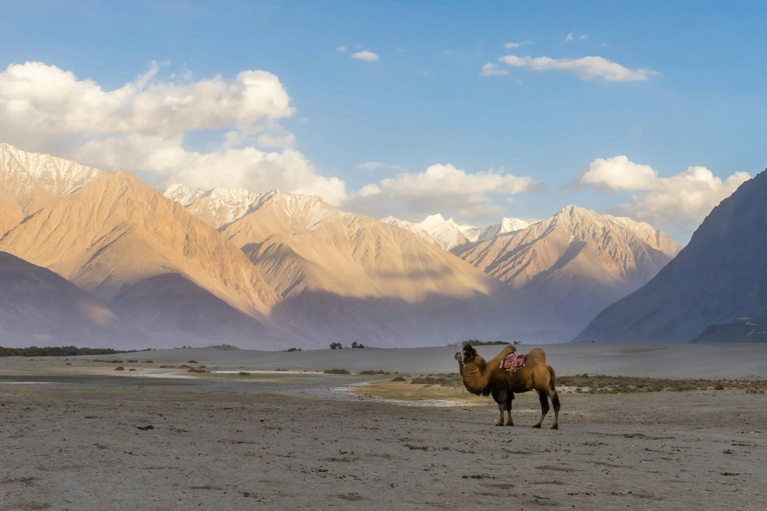 The Nubra Valley with the Karakorams in the background