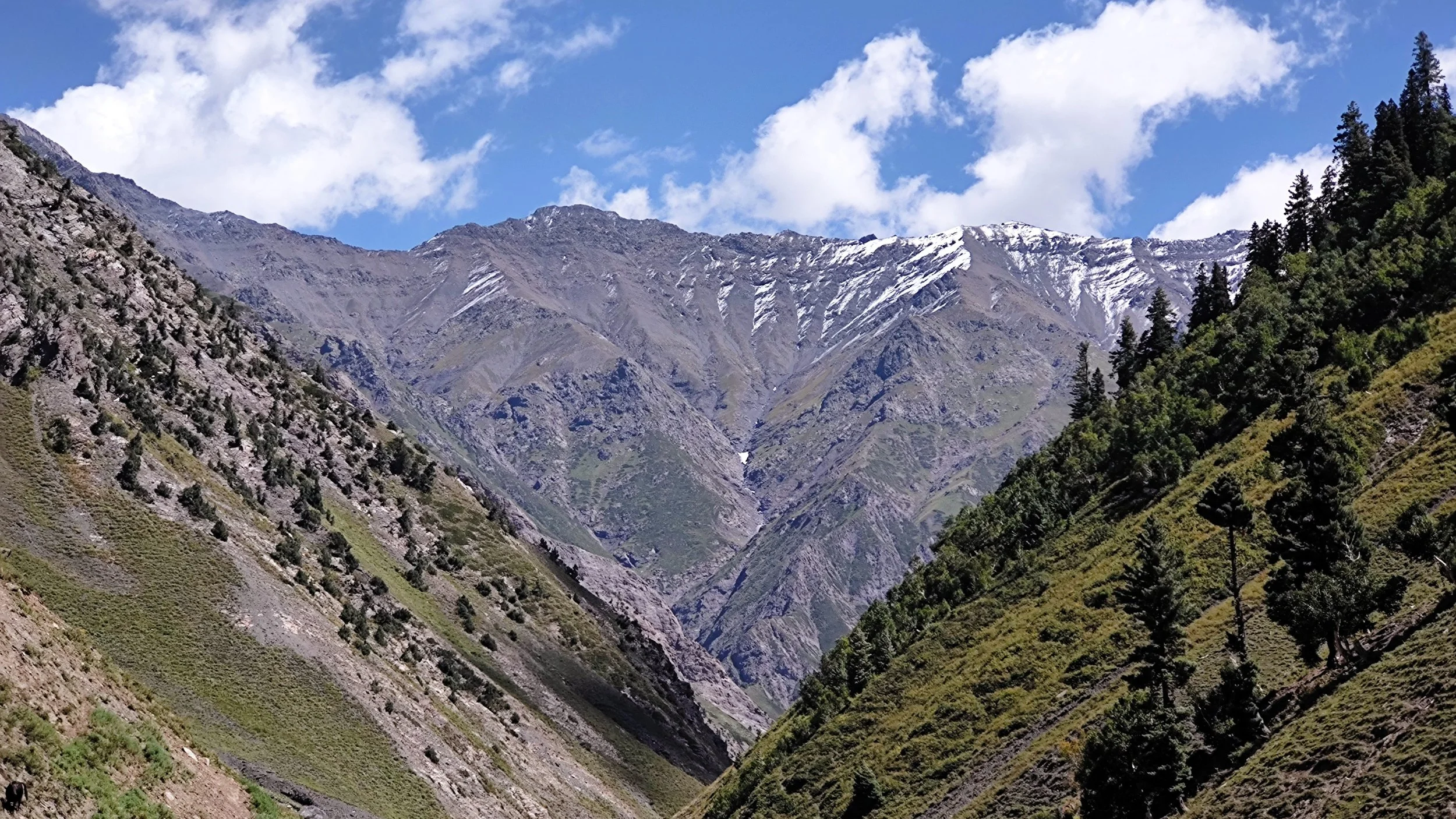 The LOC sits somewhere on this Mountain in Chakwali