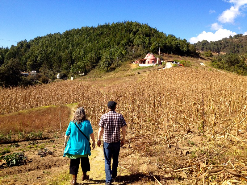 Heather and MJ walking through the cornfields, up the hill to Greg & Heather’s home