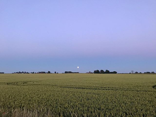 Beautiful evening.⠀
⠀
#gramsg&aring;rd #gramsgard #visitsk&aring;ne #visit&ouml;sterlen #&ouml;sterlen #visitsweden #simrishamn #balticsea #sk&aring;neleden #stfturist #schweden