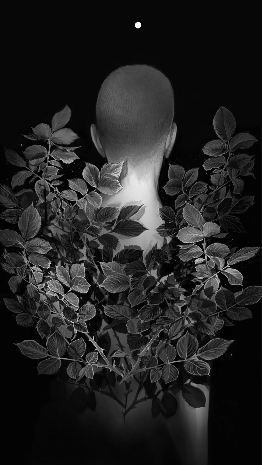Moonlight_grown_Alexxander_Dovelin_resized.jpg
