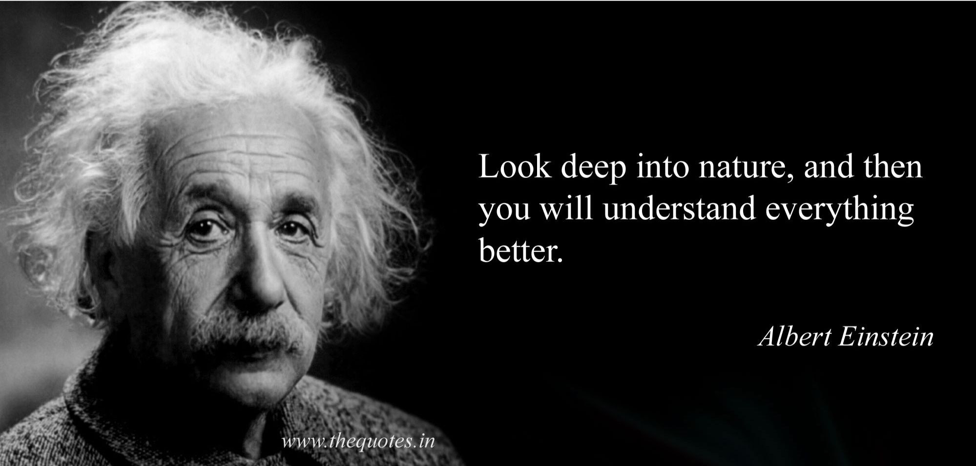 Einstein Nature.png