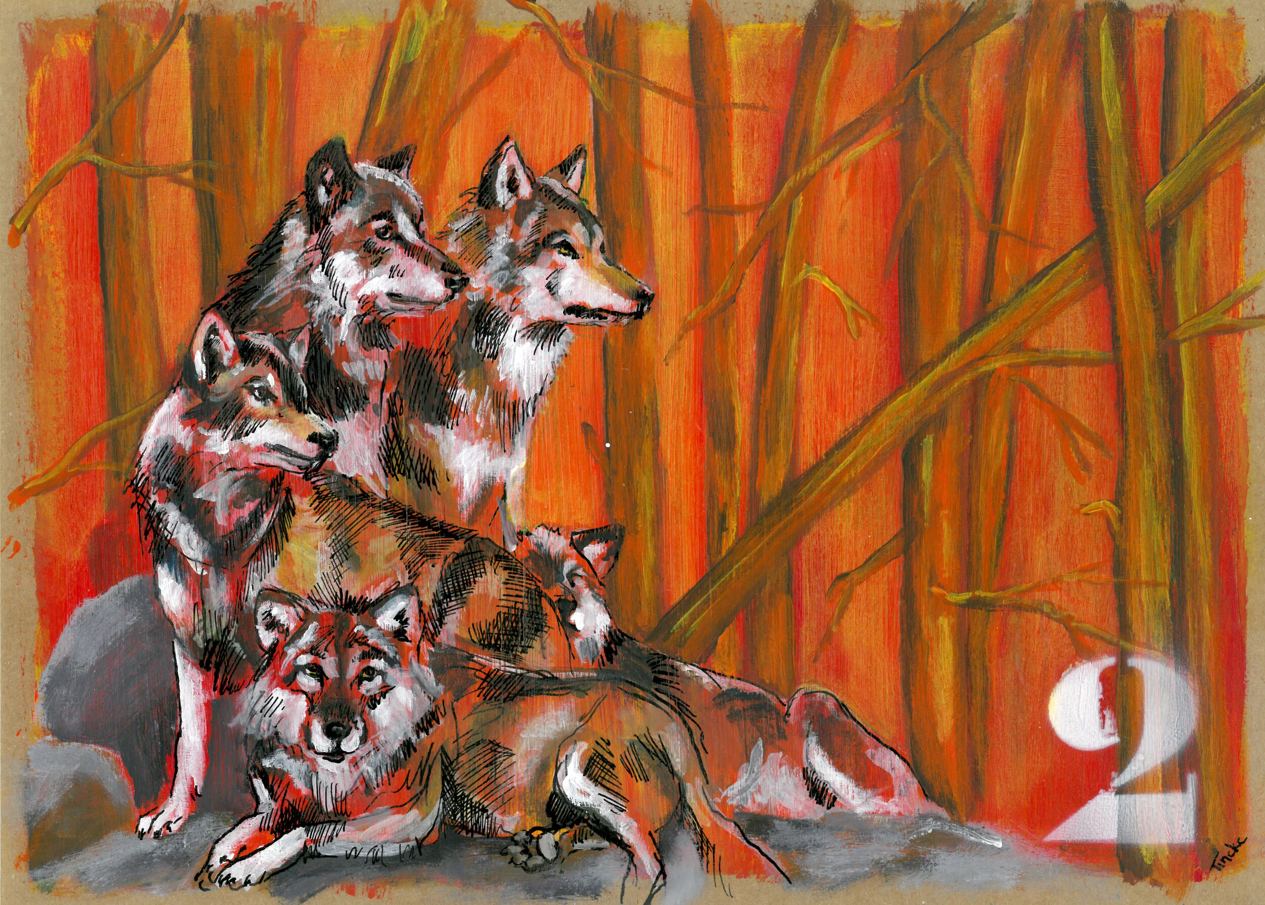 Numerologie: wat betekent het cijfer 2? 