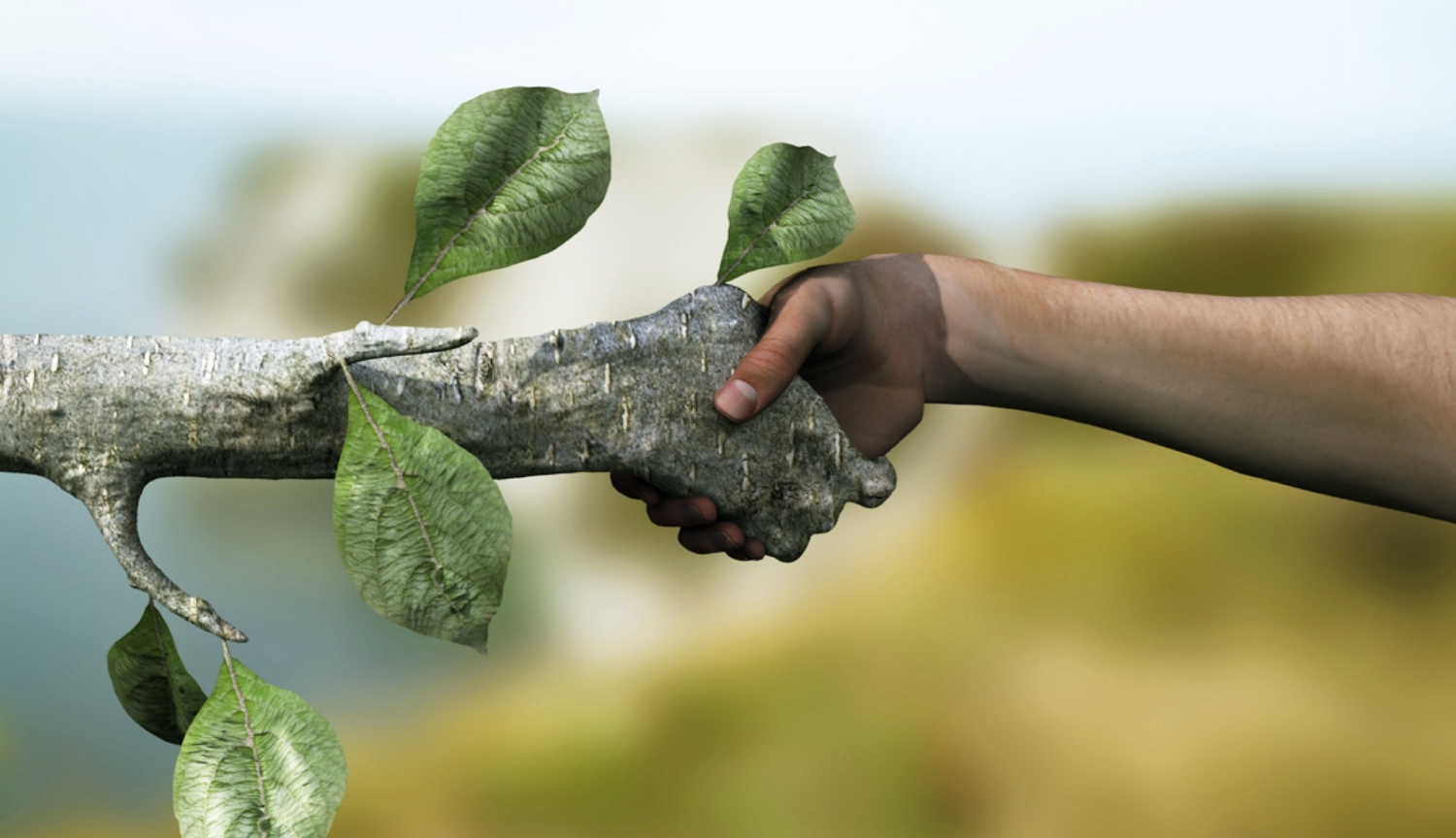 Hand die de natuur ontmoet — verbinding met de natuur