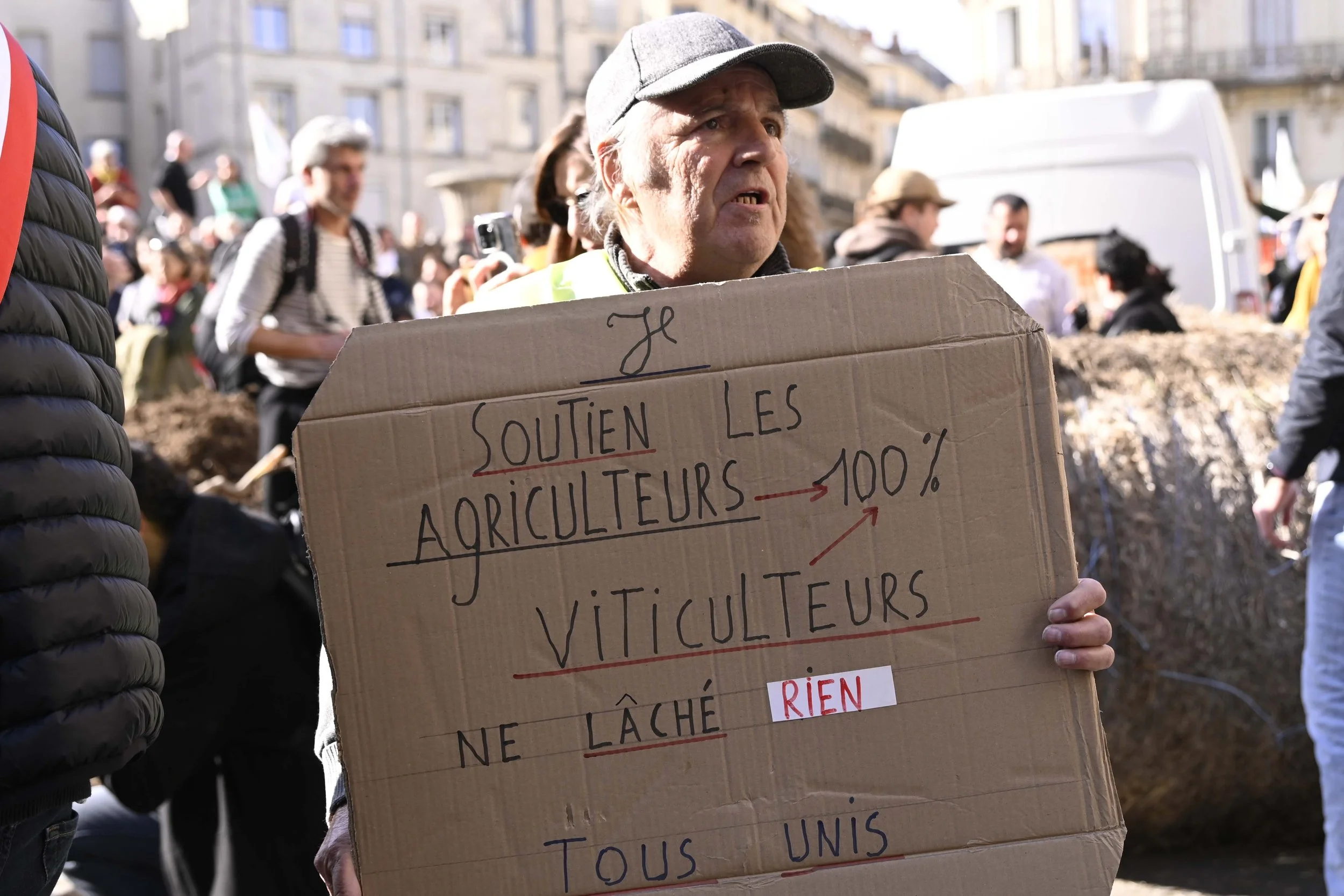 CV_20240126_125921-2.JPG