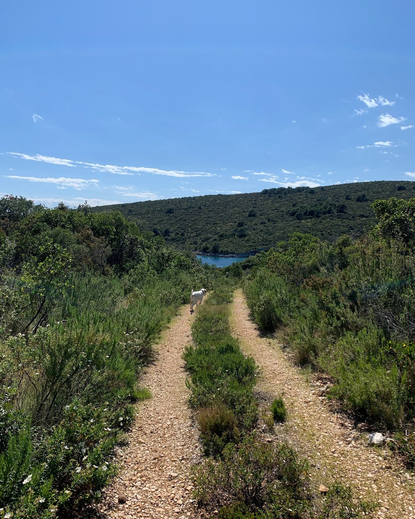 Running at Solta is just a little bit more fun. 

Trails will take you to the sea, alongside olive groves and through the pine wood forest. 

And back at Gone you can always finish the tour with a nice and refreshing plunge in the sea.

#gonesolta
#r