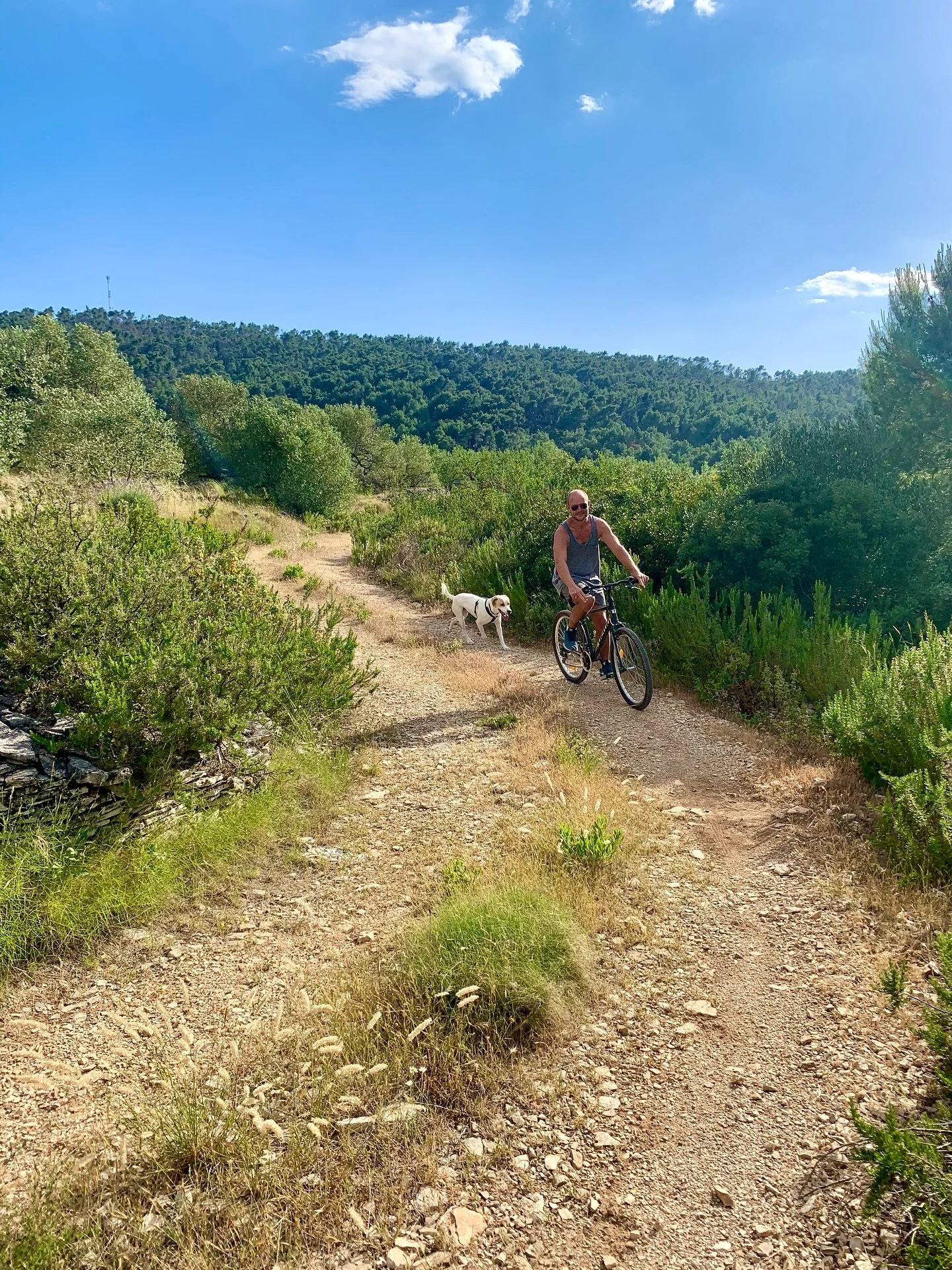 The hills on Solta are perfect for a bike ride - and if you are extra lucky, Polako might join you for a run... 

#gonesolta
#bike #ride #Polako
#travel #traveling #travelpics #travelInspiration 
#vacation #vacations #vacationmode #vacationtime
#theb