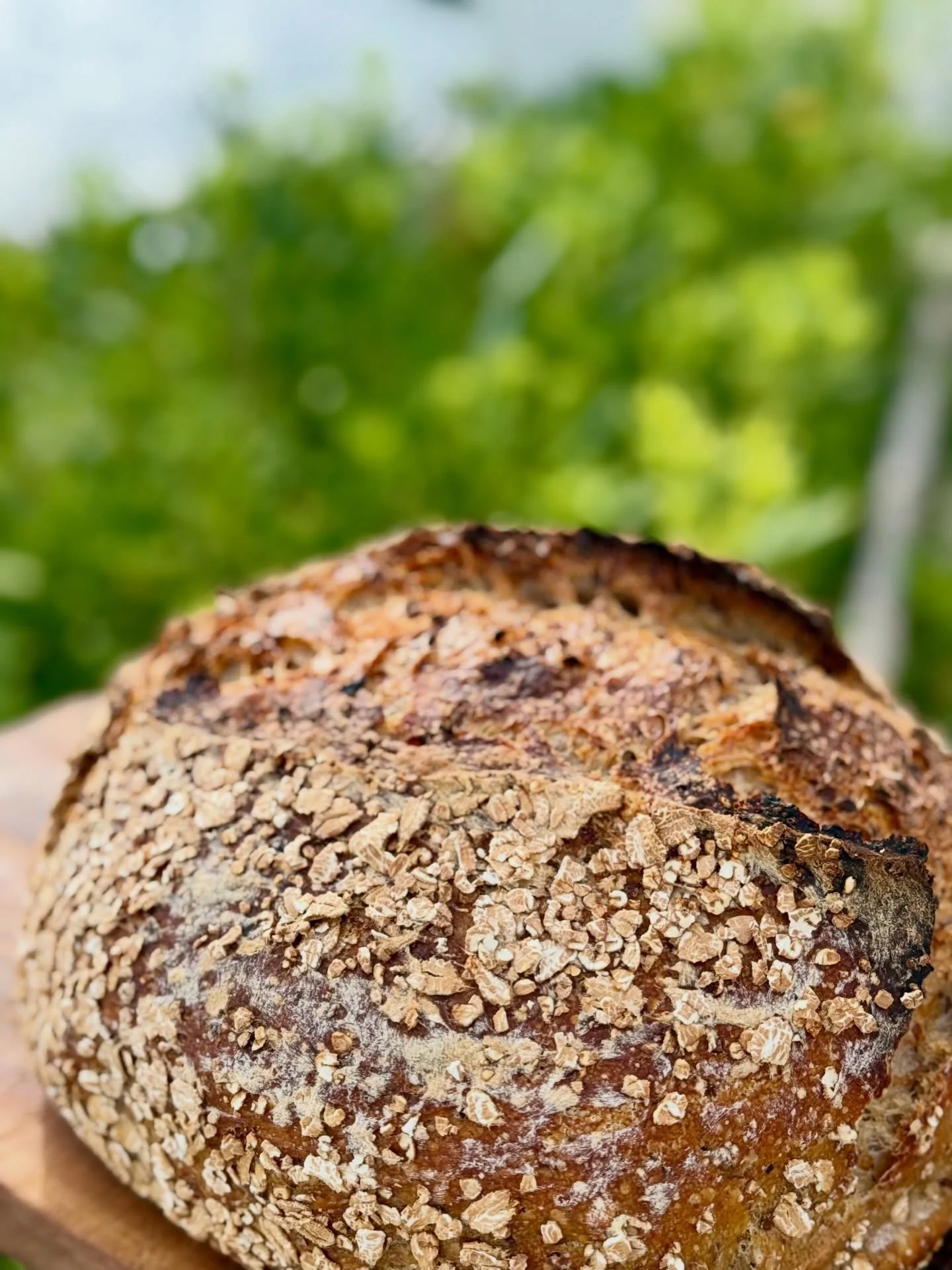 The fascinating process of bread baking. Test, try, fail, succeed. Our homemade sourdough bread comes in many shapes and flavors. 

#travel #vacation #islandlife #croatia #dalmatia