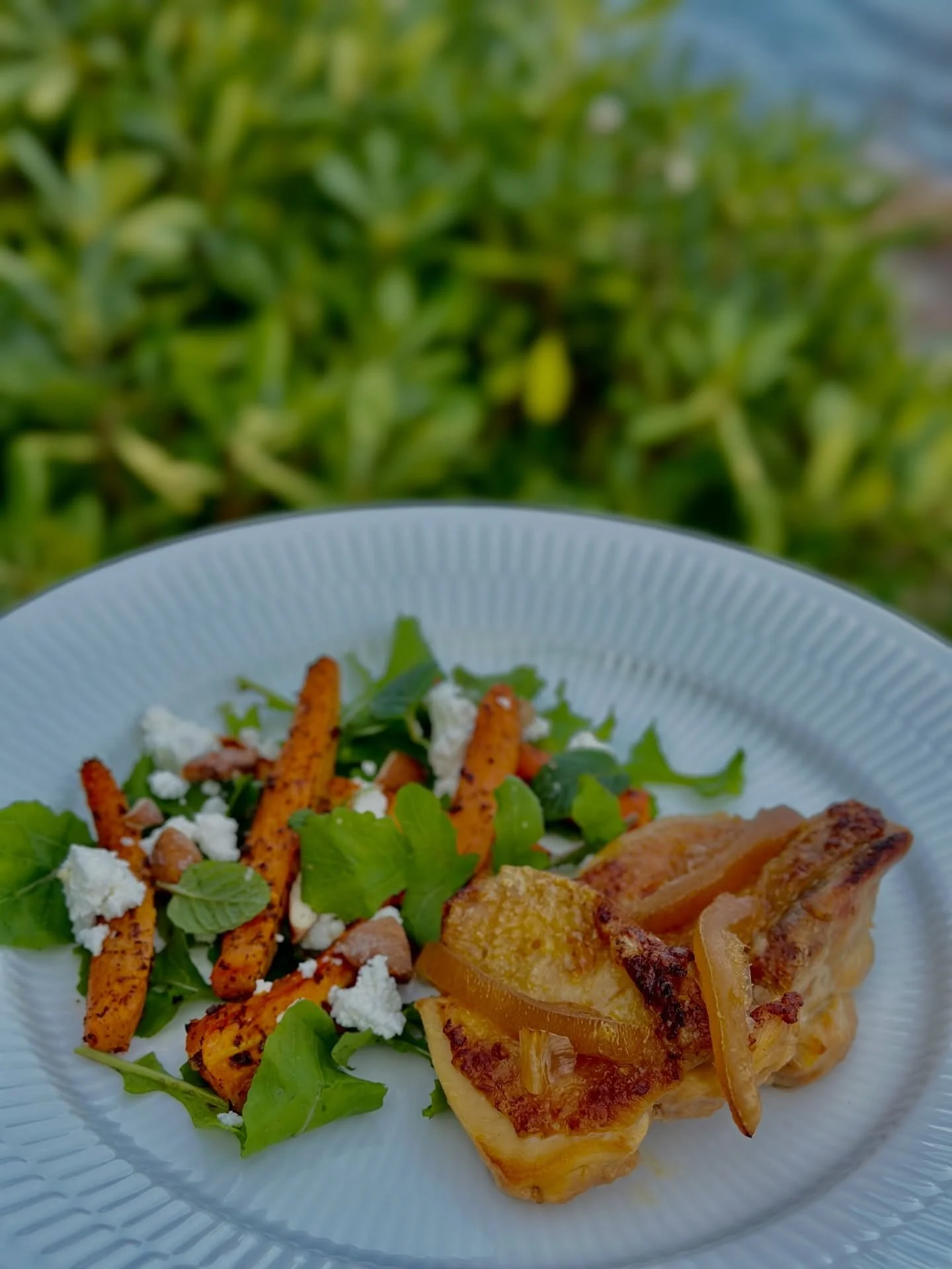 One of our favourite ways of using the preserved lemons is when Maria is cooking the lemon chicken and serve it with baked carrot and arugula salad

#travel #vacation #islandlife #croatia #dalmatia