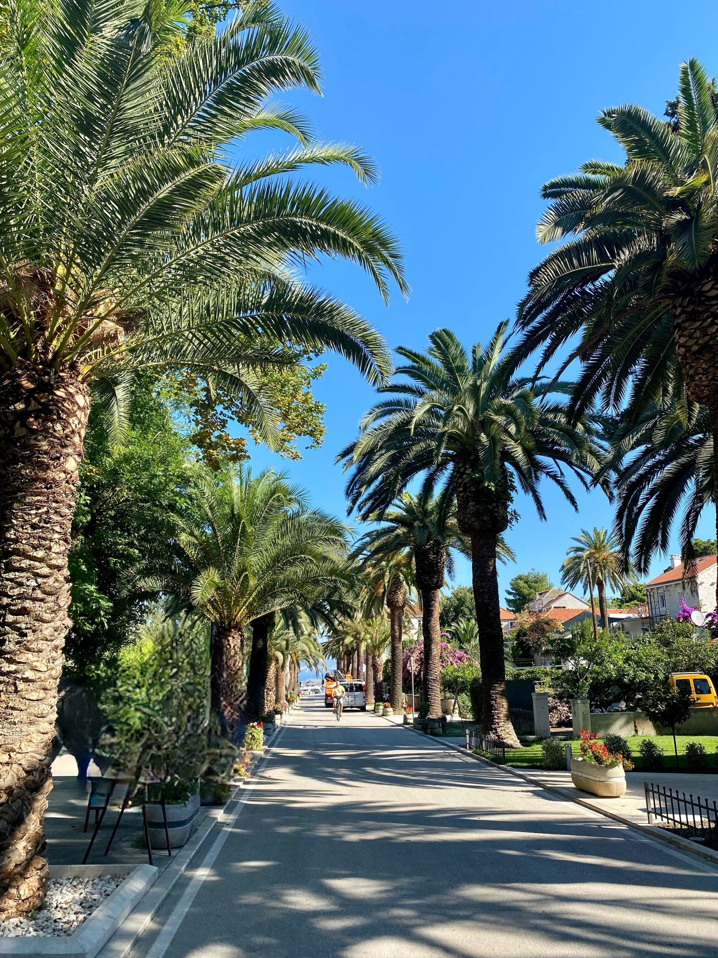 Our weekly boat trip takes our guests to some of our own favourite places in the area. This is one of them. Palm trees, old stone houses and - sometimes - dolphins on the way there...

#travel #vacation #islandlife #croatia #dalmatia