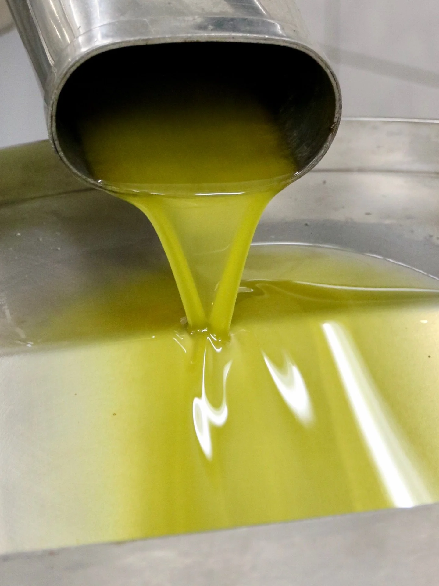 Olive oil from Solta is considered to be some of the very best olive oil in the world. Come have a taste and learn what makes it so special.

#travel #vacation #islandlife #croatia #dalmatia