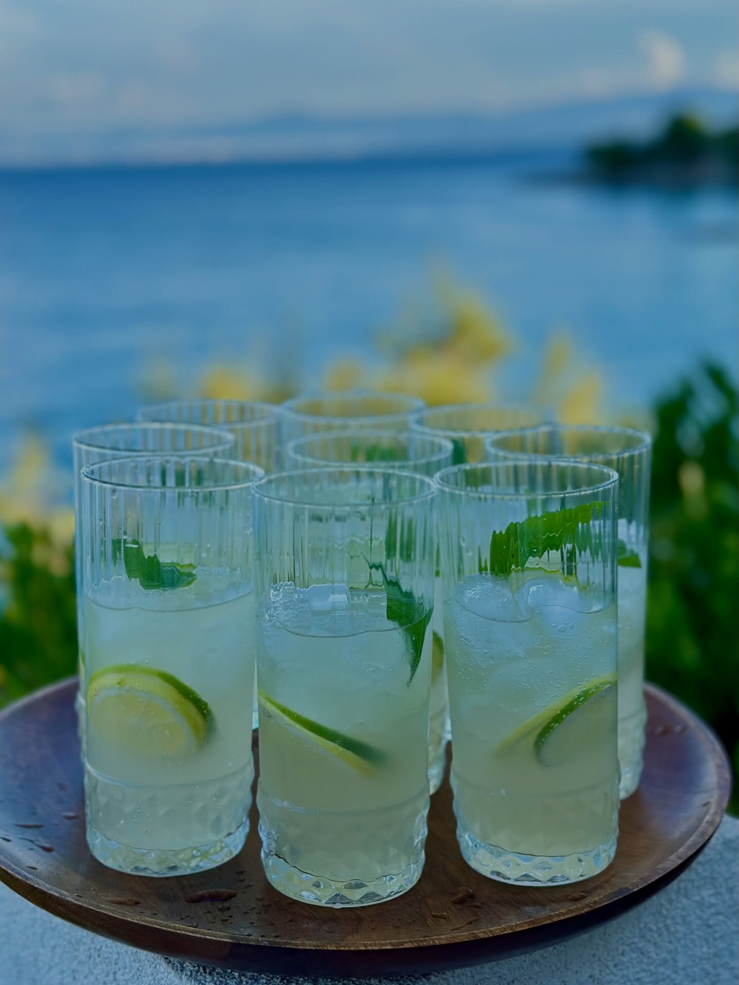 Moscow Mules - Punchy flavours of ginger, lime and vodka. A great cocktail before dinner at the terrace.

#travel #vacation #islandlife #croatia #dalmatia