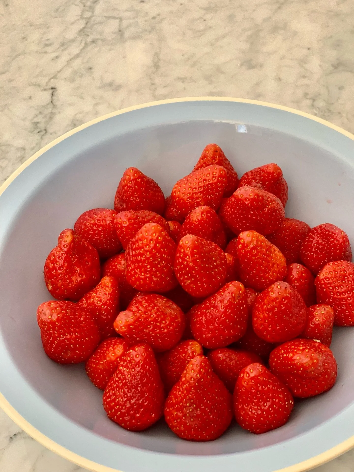 The first strawberries of the season are here.

#travel #vacation #islandlife #croatia #dalmatia