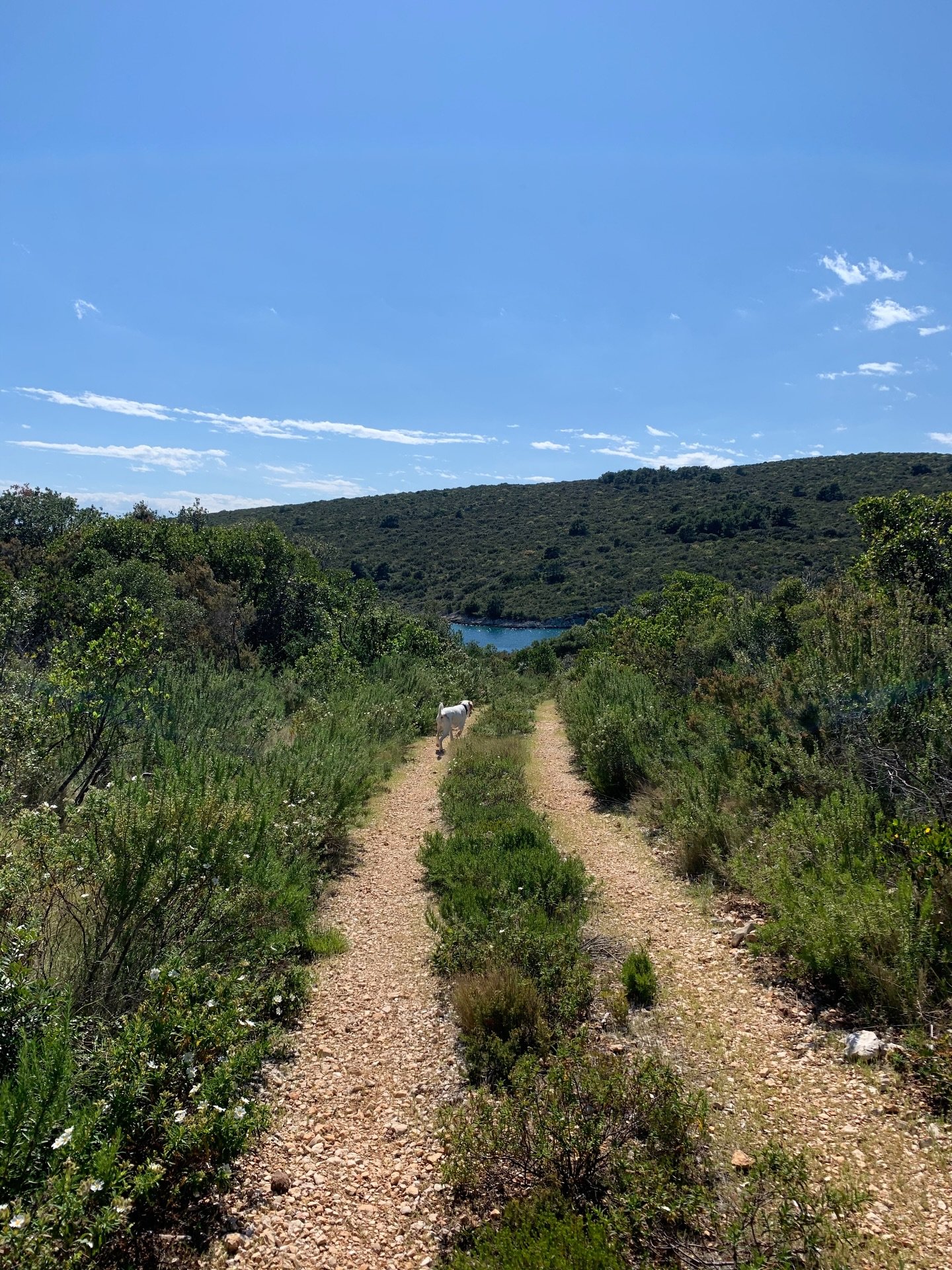 Running at Solta is just a little bit more fun. Trails will take you to the sea, alongside olive groves and through the pine wood forest. And back at Gone you can always finish the tour with a nice and refreshing plunge in the sea.

#travel #vacation