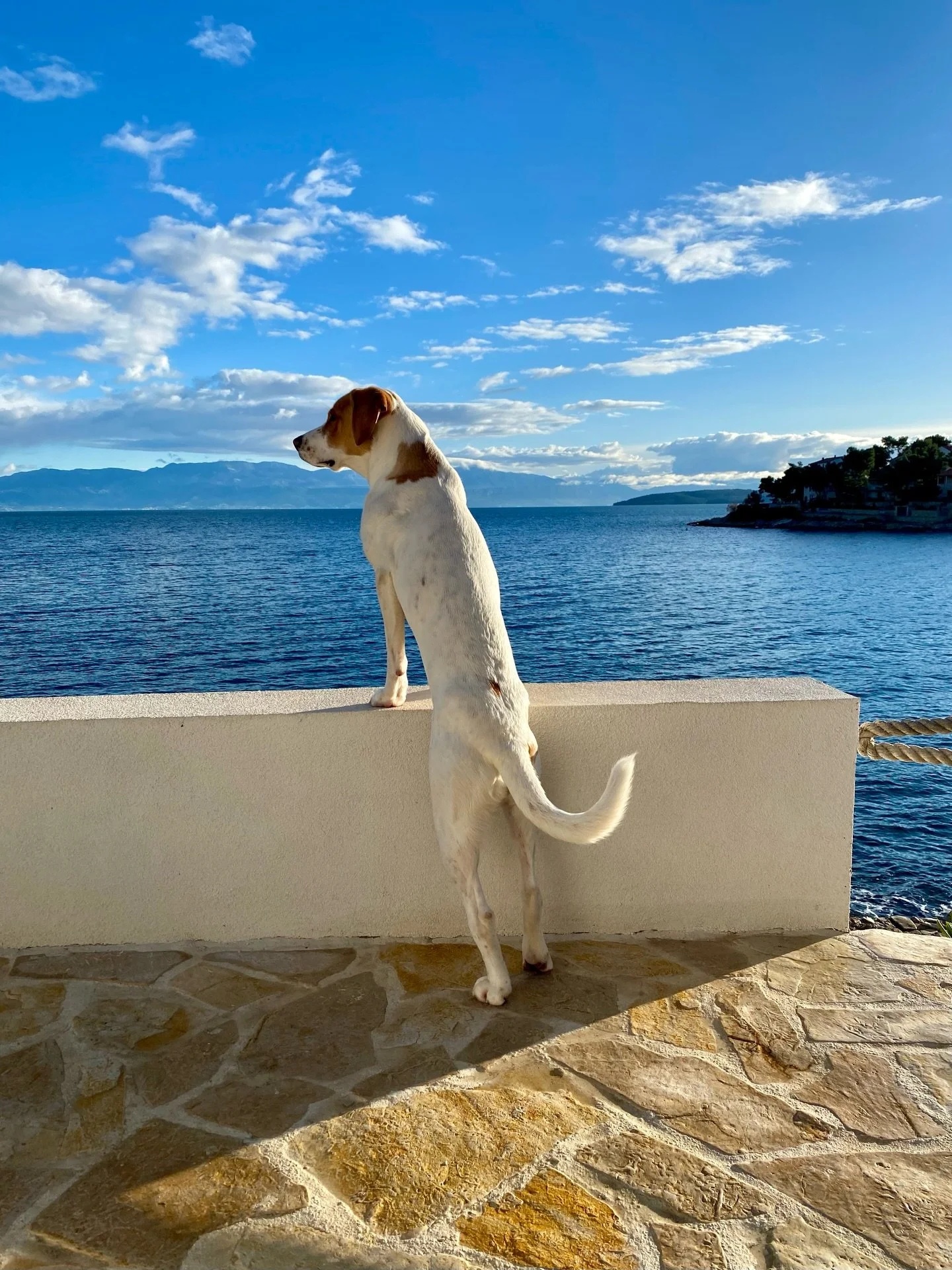 Polako has started the countdown. 2 weeks and the season will start. We can&rsquo;t wait!

#travel #vacation #islandlife #croatia #dalmatia