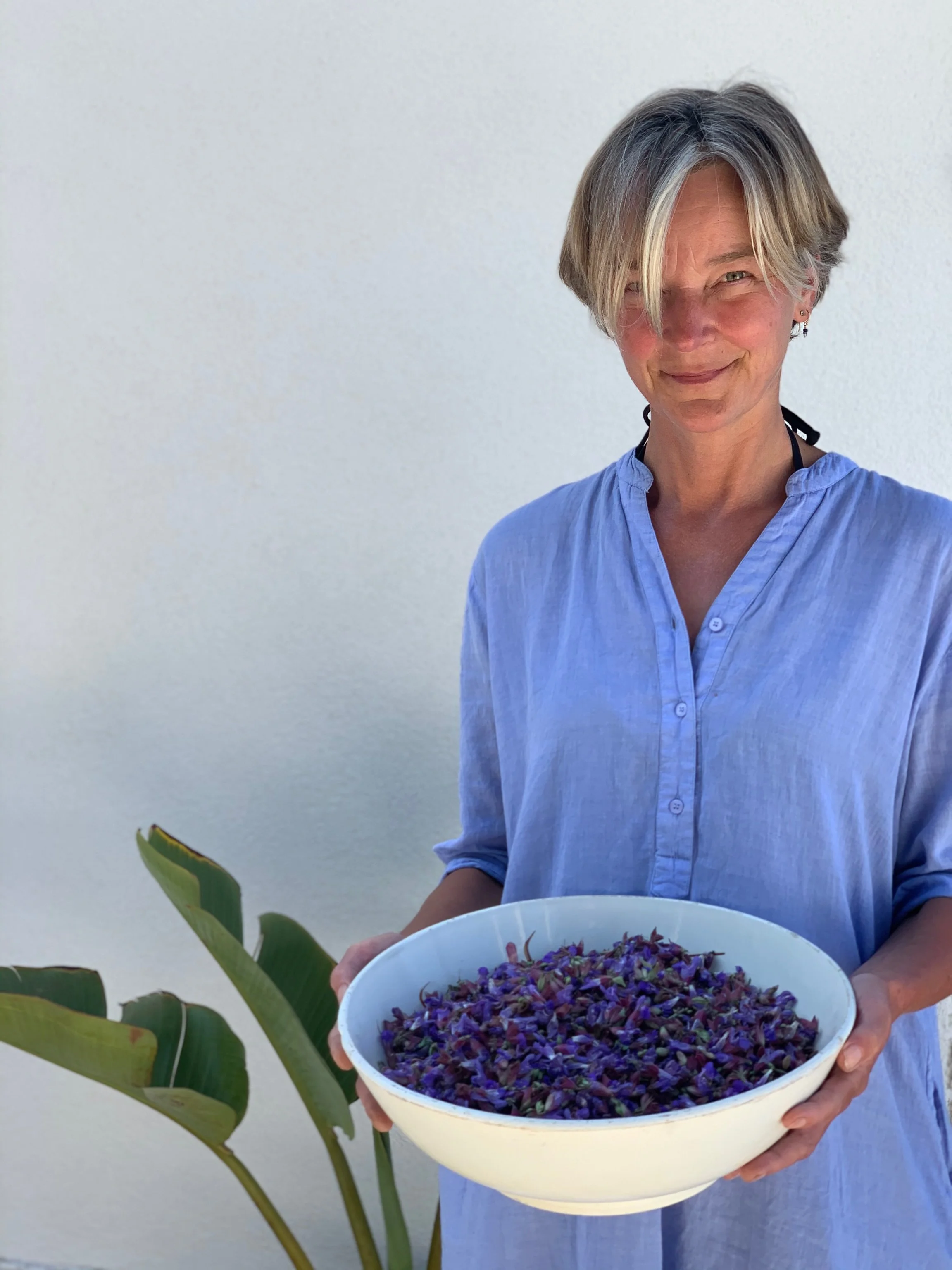 End of April means sage time. Maria pick the blooming sage and use them to make a delicious pink syrup, perfect for desserts and cocktails.

#travel #vacation #islandlife #croatia #dalmatia