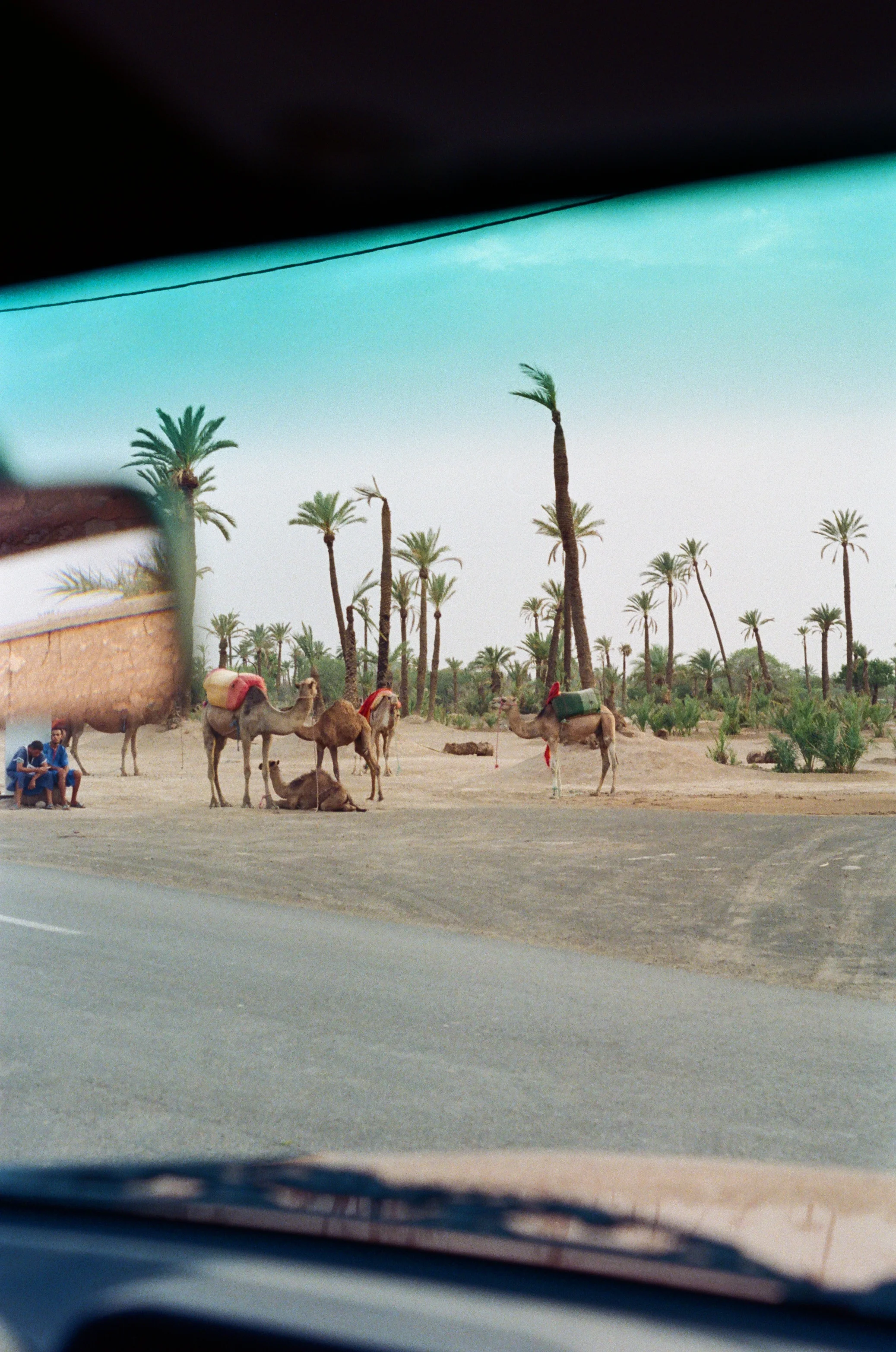 0016_16.jpg