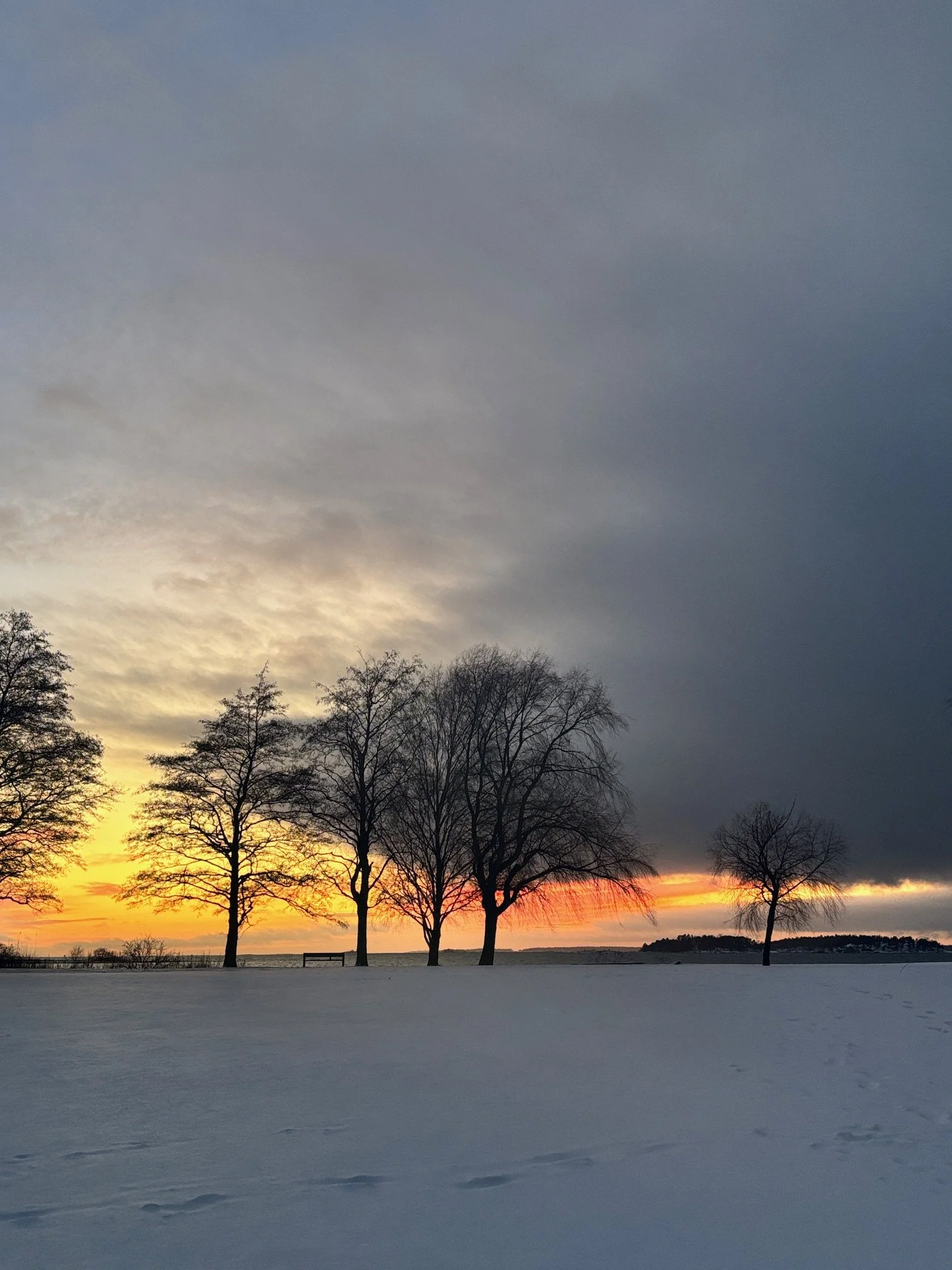 Elämä viime aikoina