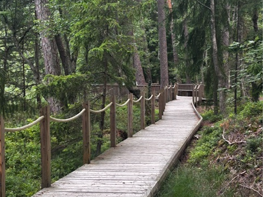 Kesä &amp; burnout
