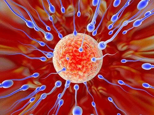 sperm1.jpg