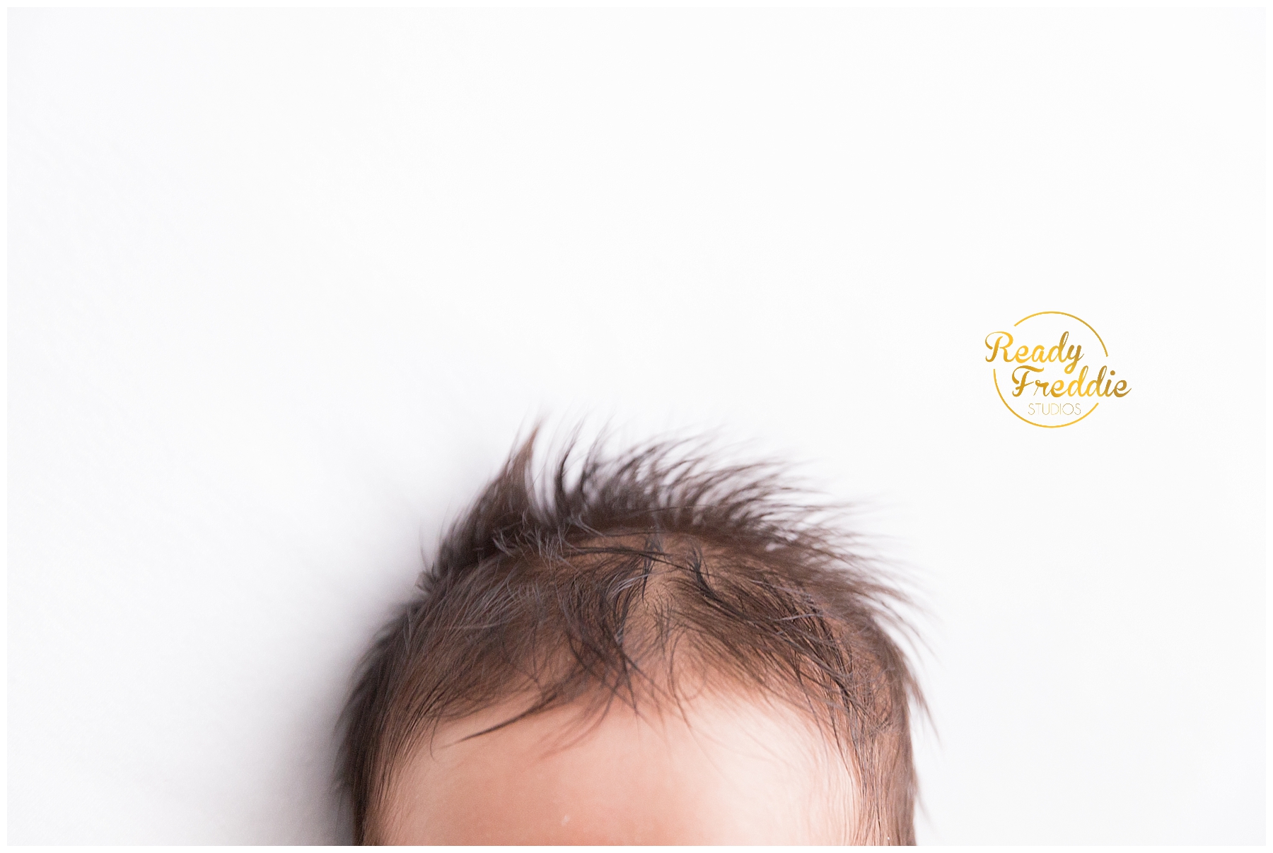 detail shot of newborn hair