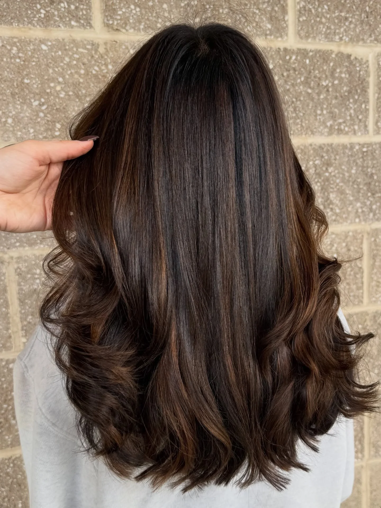 Rich 💵 brunette @hairbymarina_rose