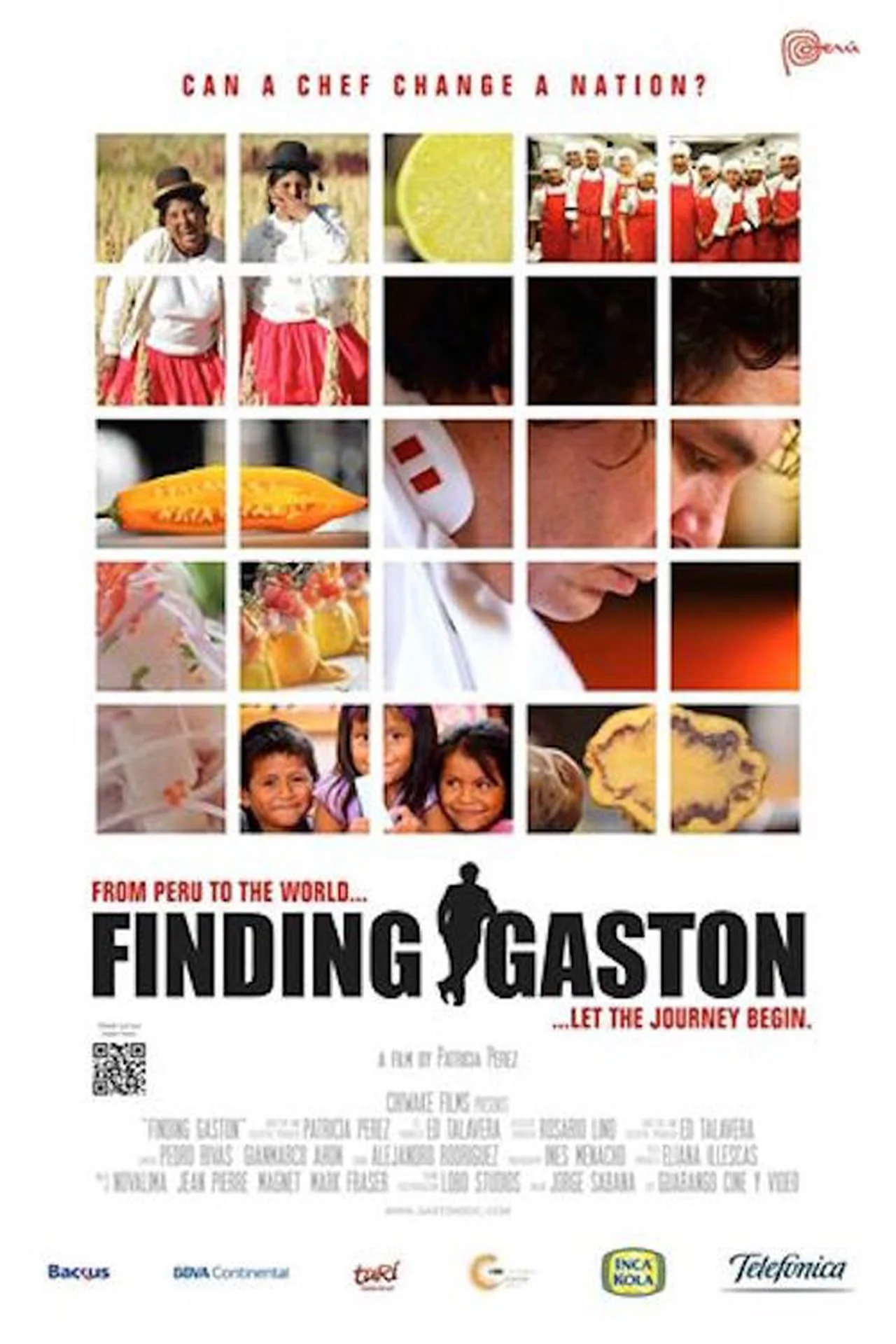 Finding Gastón (2014)