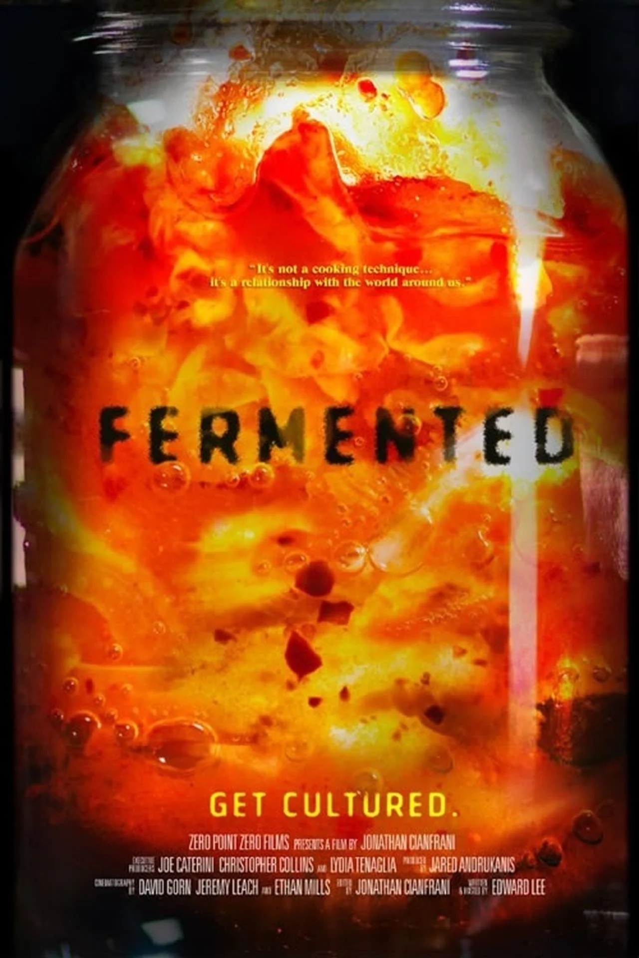 Fermented (2017)