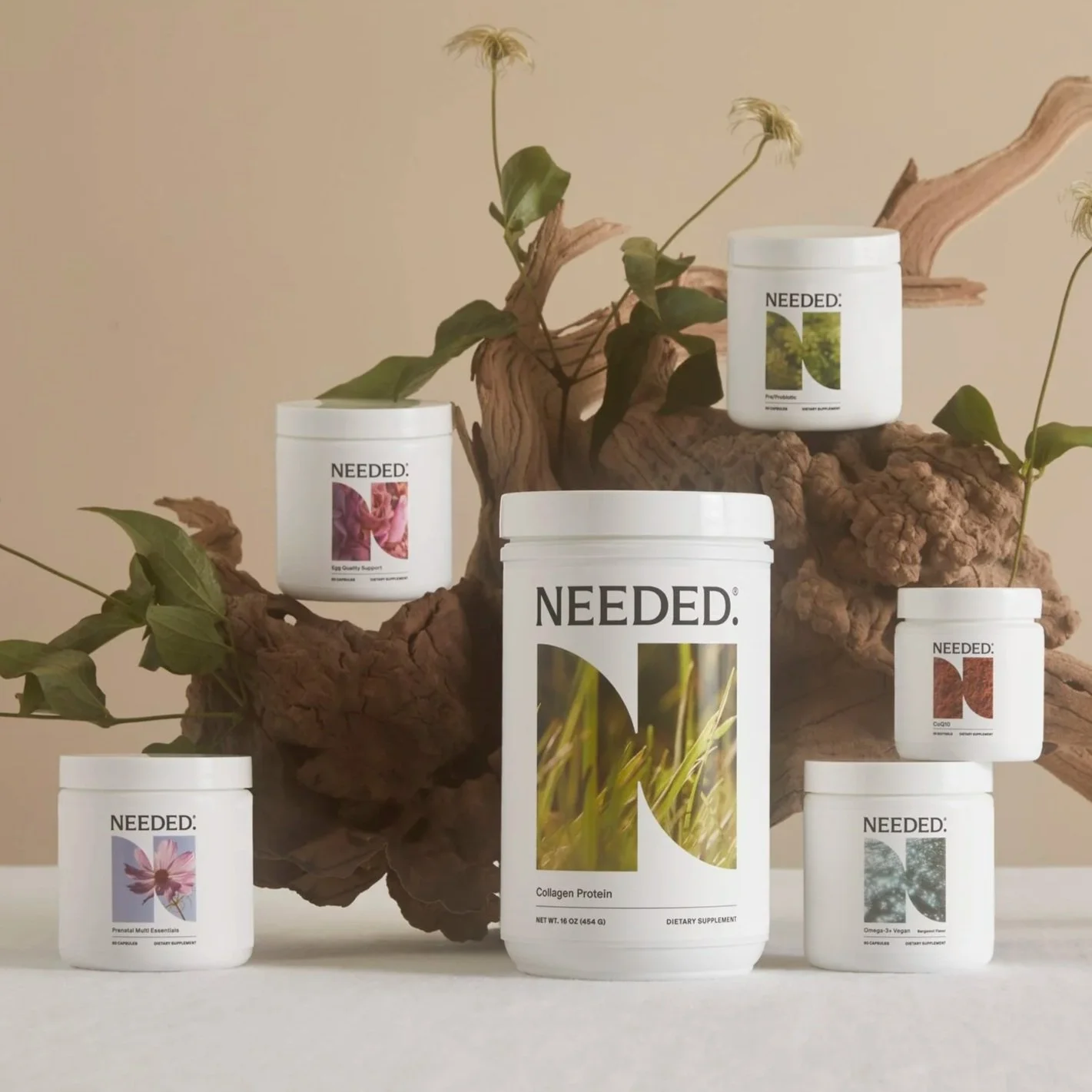 Several white bottles labeled 'Needed' with different supplement types arranged around a piece of driftwood with green leaves. The central bottle is labeled 'Collagen Protein'.