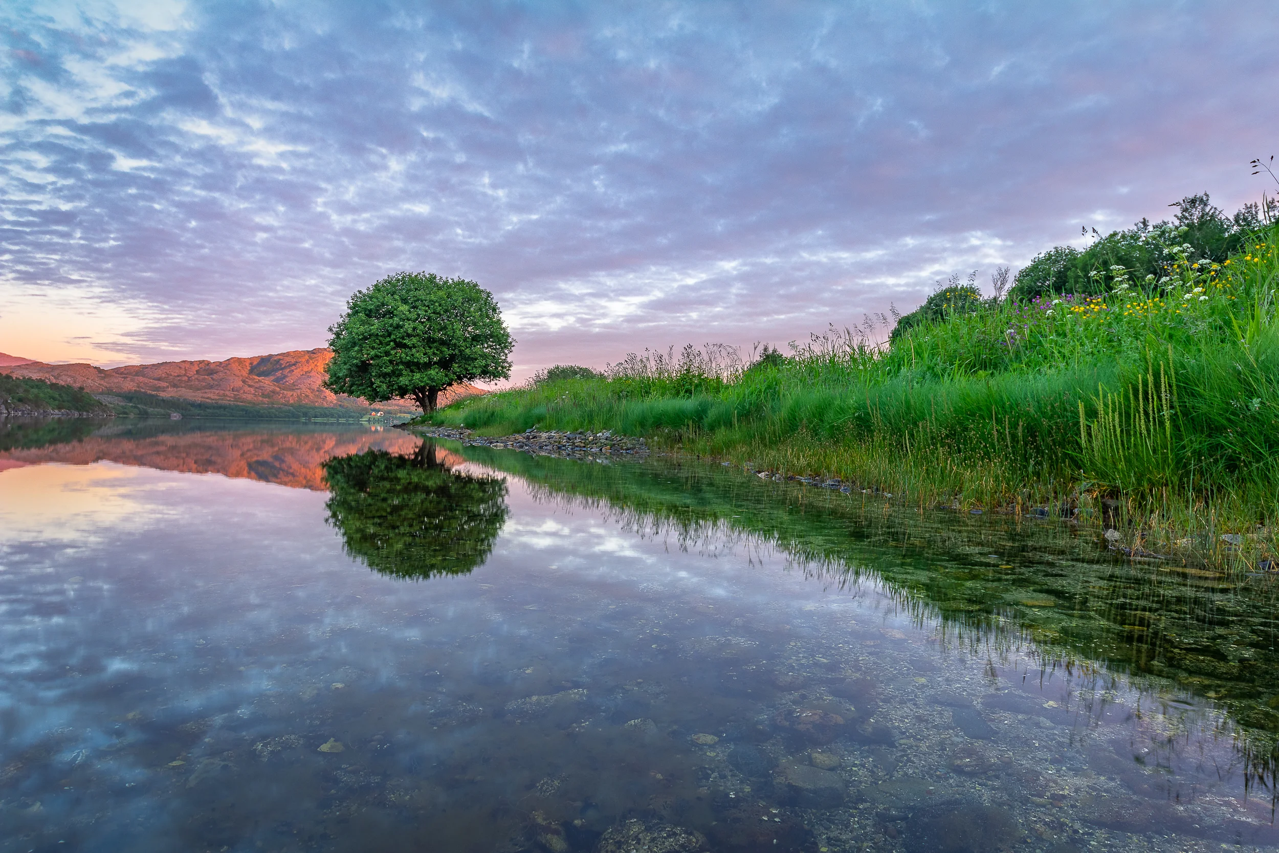 _MG_2619-HDR-Edit.jpg