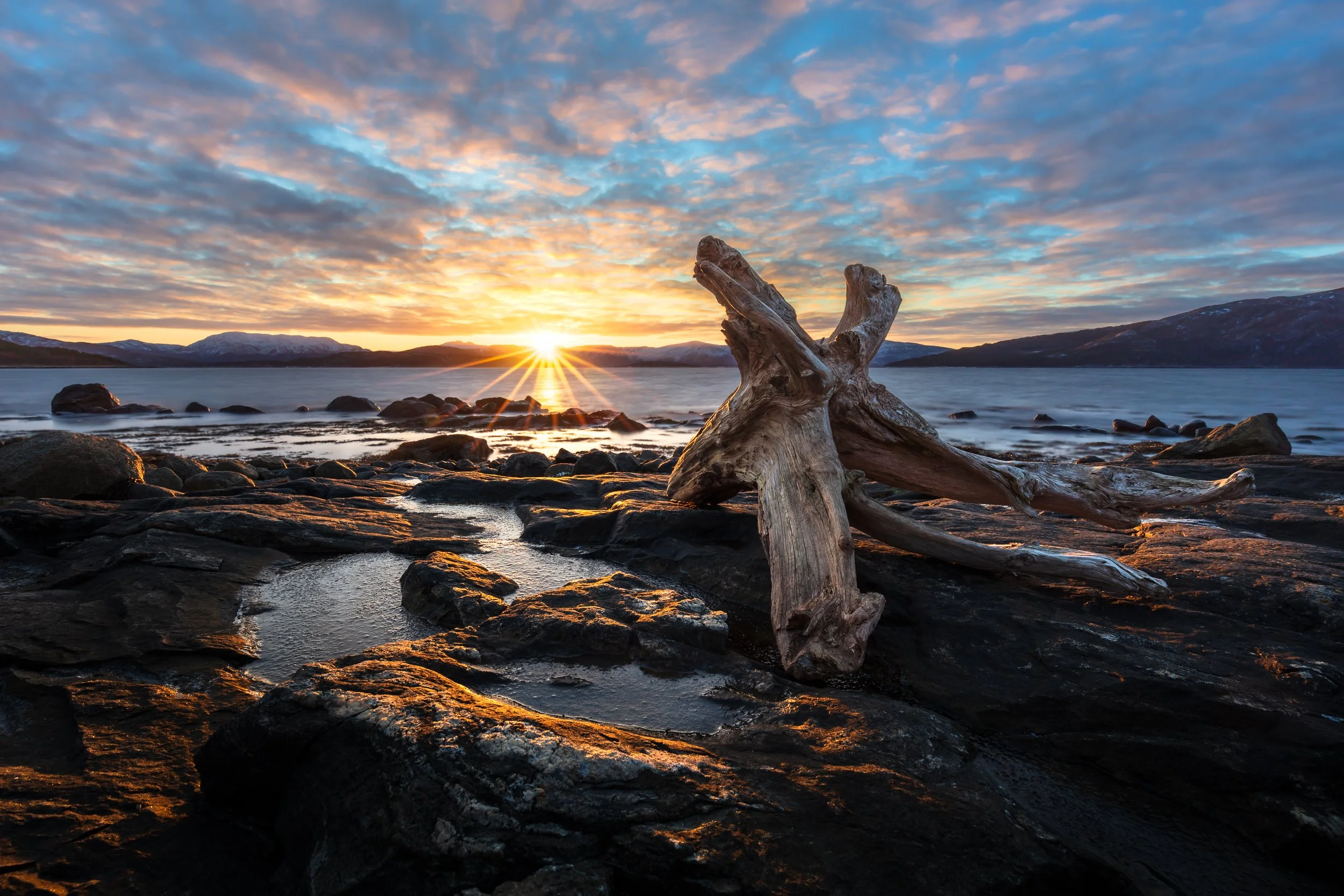 _77A2570-Edit-Edit-Edit-Edit.jpg