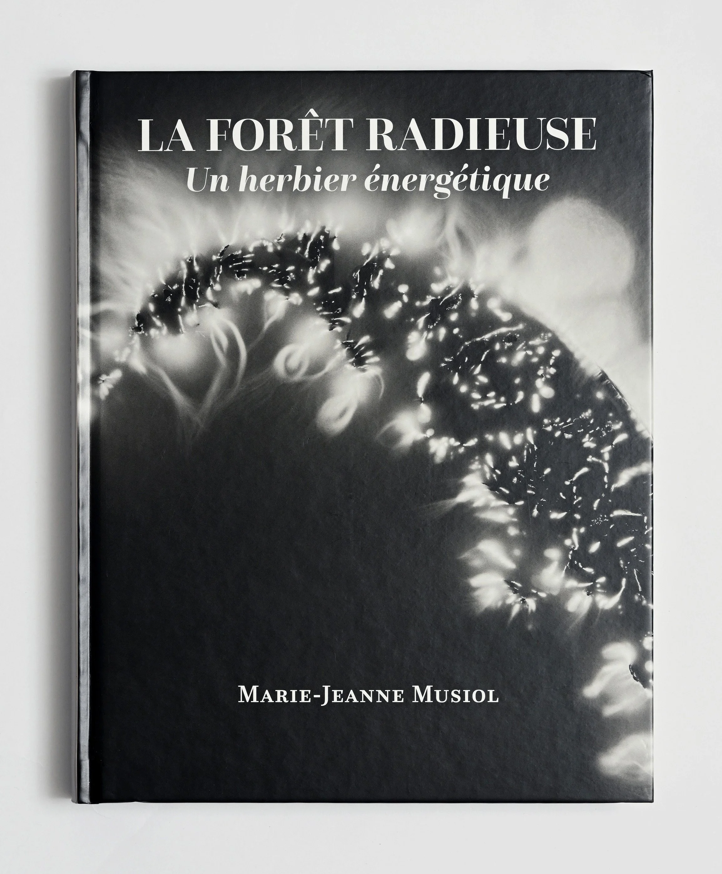 —La Forêt radieuse : un herbier énergétique
