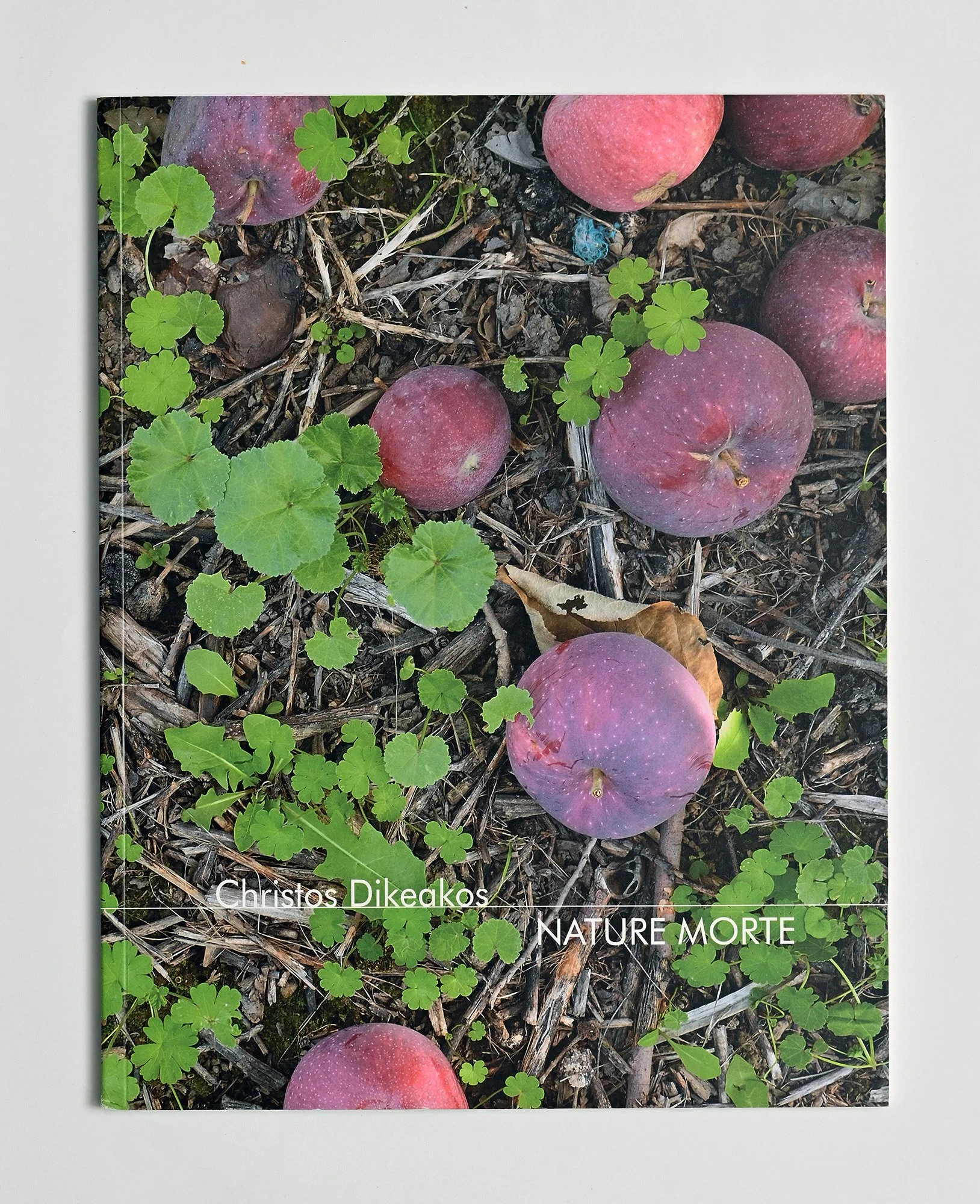 —Christos Dikeakos: Nature Morte