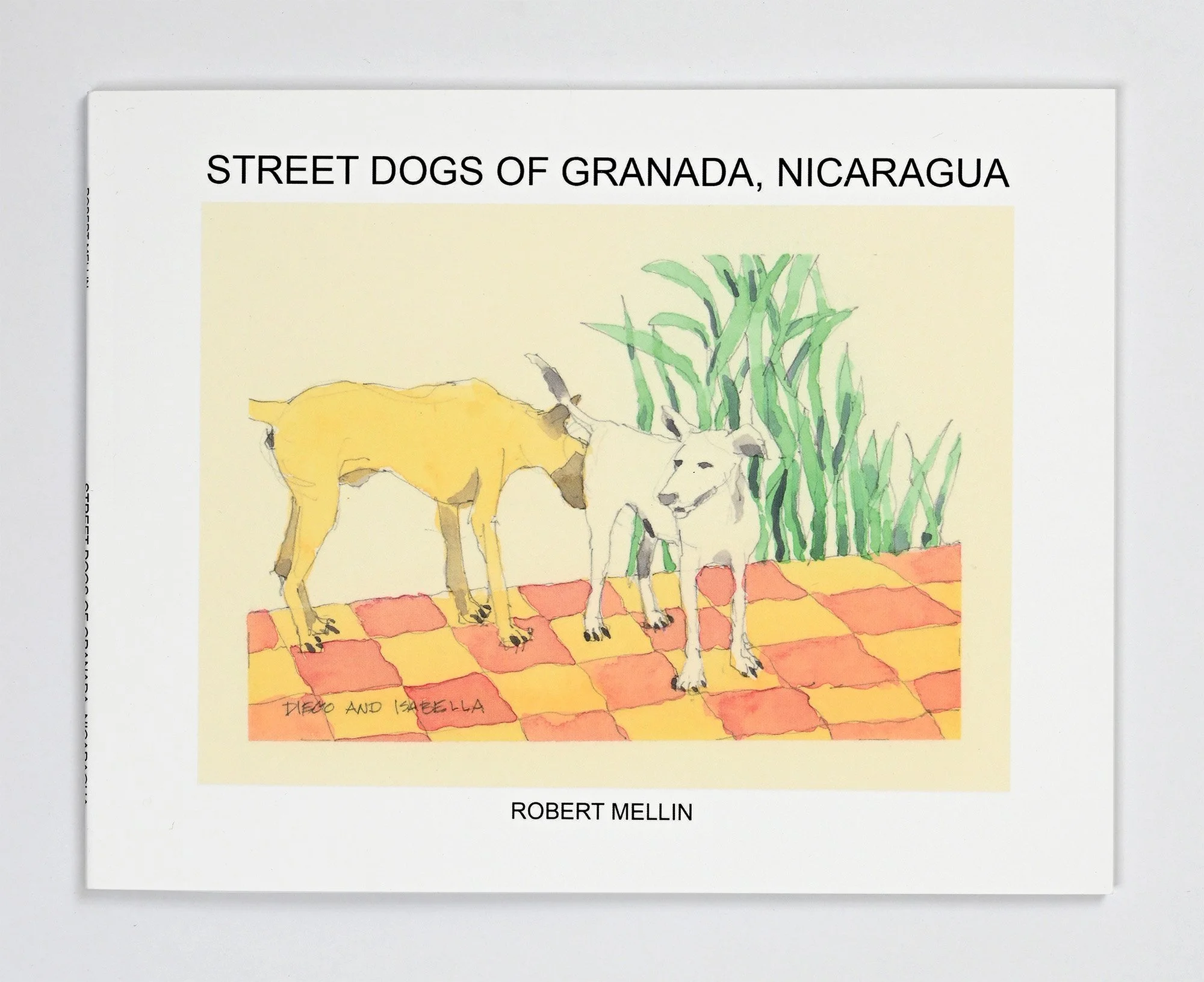 Street Dogs of Greanda CROPPED.jpg