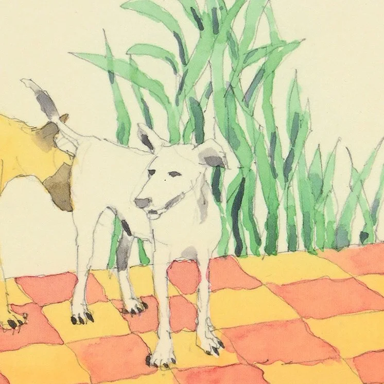 —Street Dogs of Grenada, Nicaragua