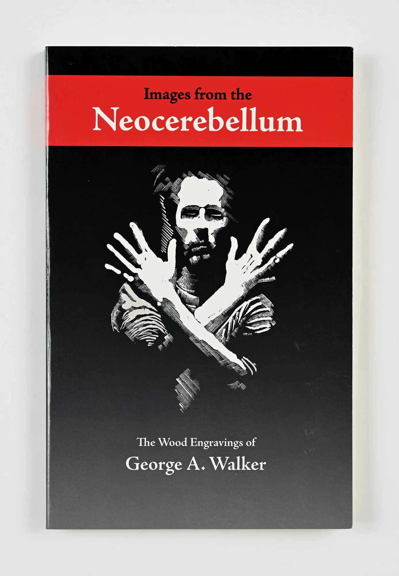 Neocerebellum CROPPED.jpg