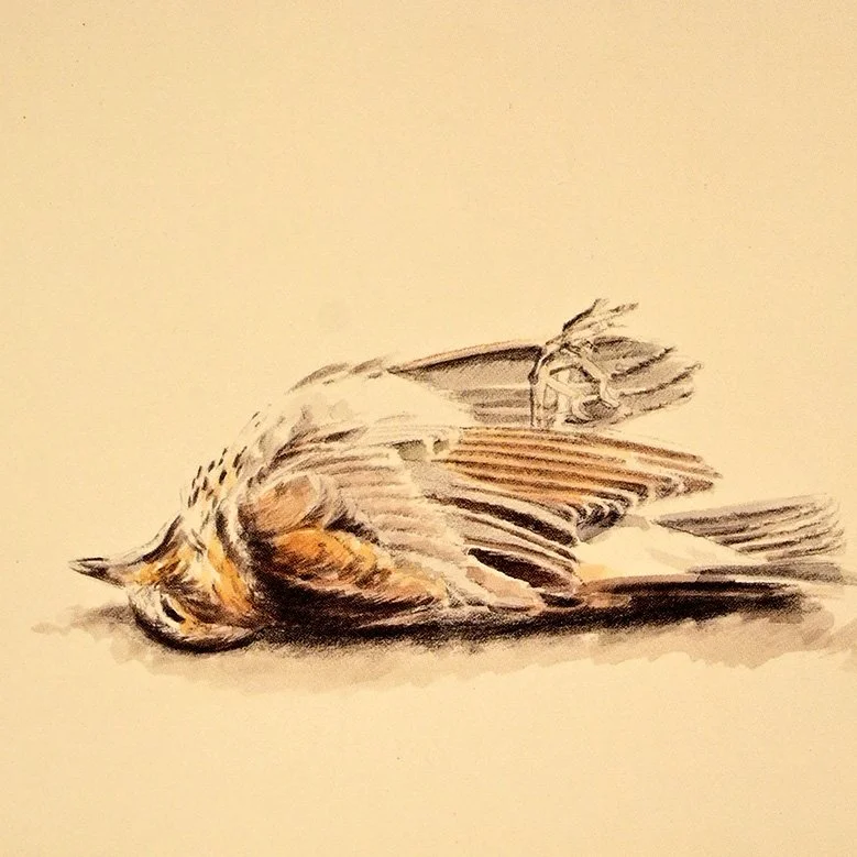 —Avant de Déposer Mon Âme: Poèmes et Aquarelles