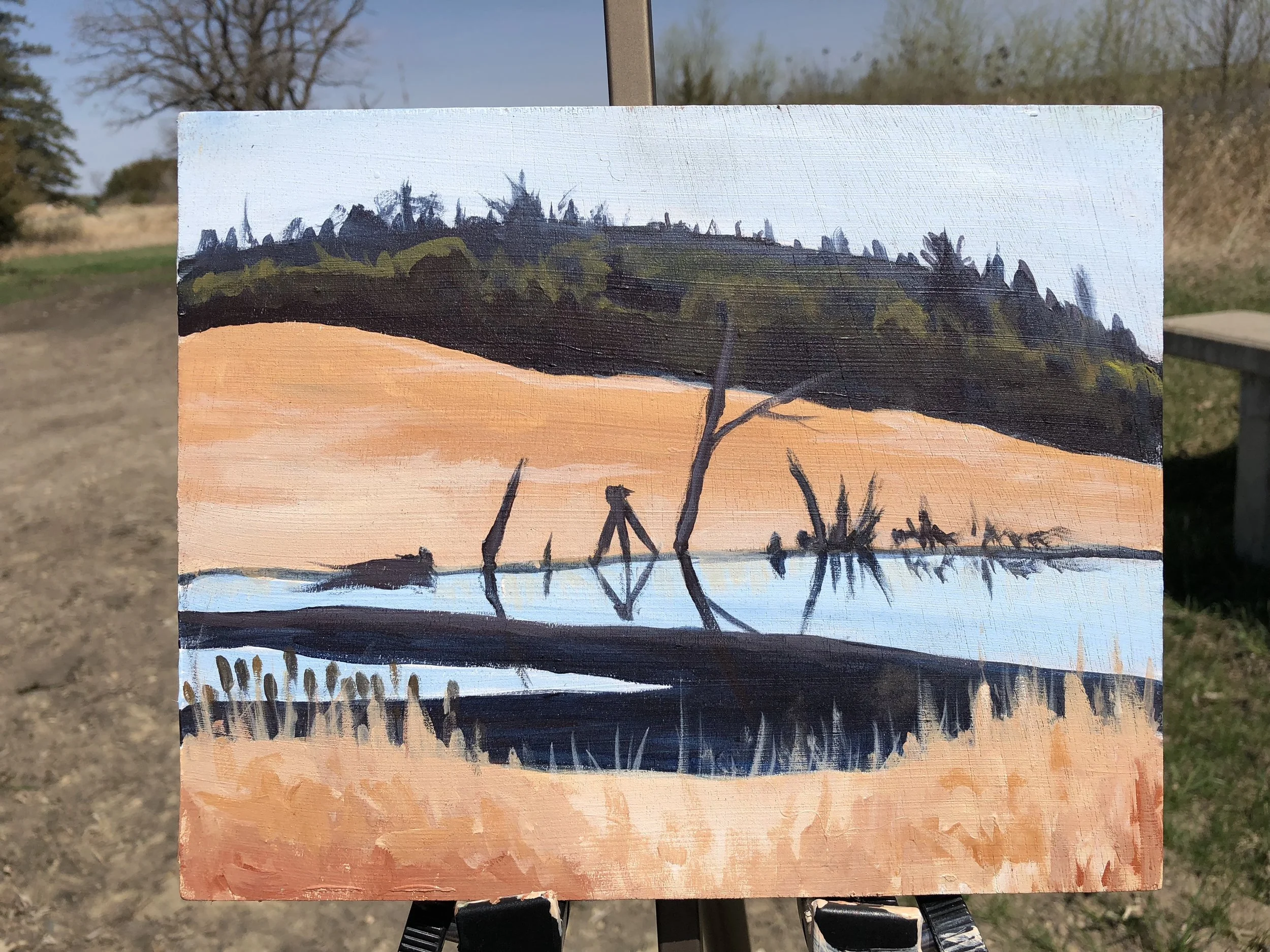 minnisotalakepleinair.jpg