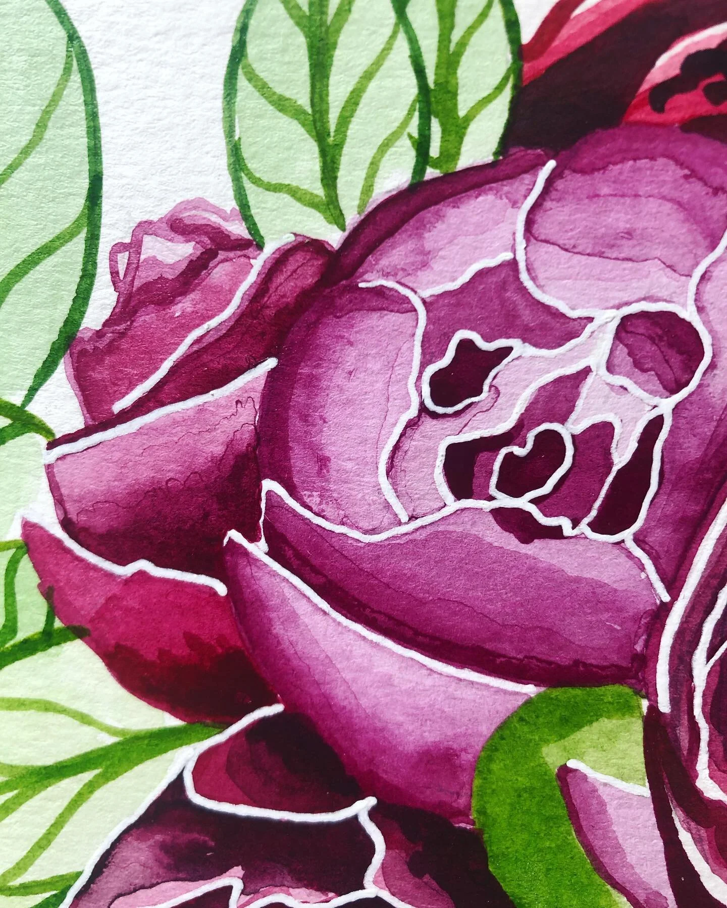 More teasers for y’all 😛 I can’t wait to reveal everything I’ve been working on this spring. 🌸✨#botanicalart #botanicalillustration #indiaink #illustration #illustrationartists #nhart #nhartist #iadnec #necartwall #peony #pink #gr